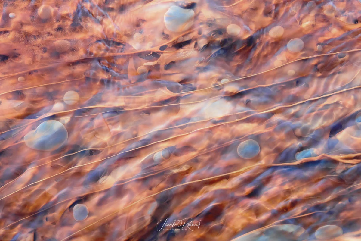 Pearls / Jennifer Renwick / Gas bubbles align with the flowing water in a terrace stream