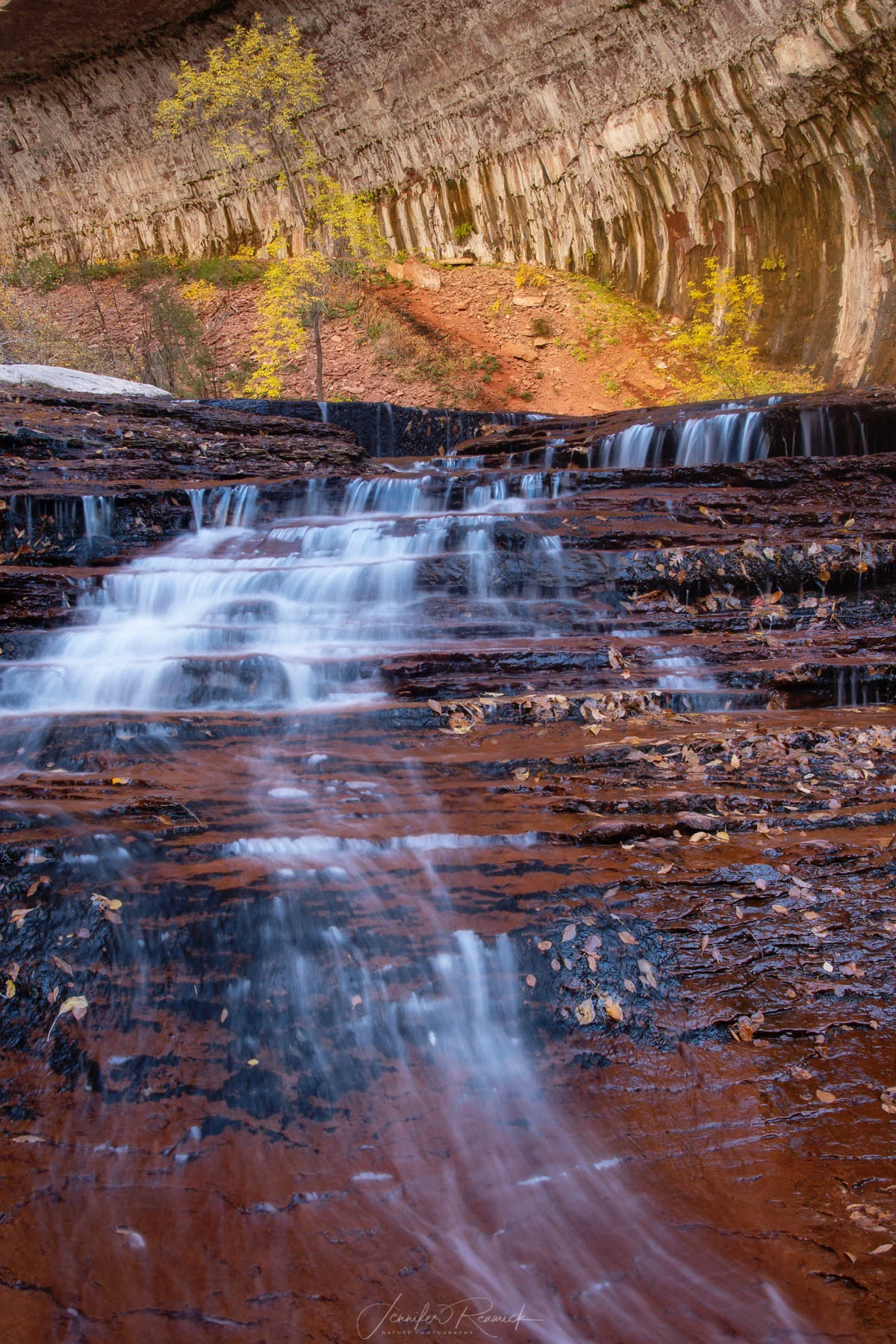 Autumn Arch Angel Falls / Jennifer Renwick / A simple autumn scene at Arch Angel Falls