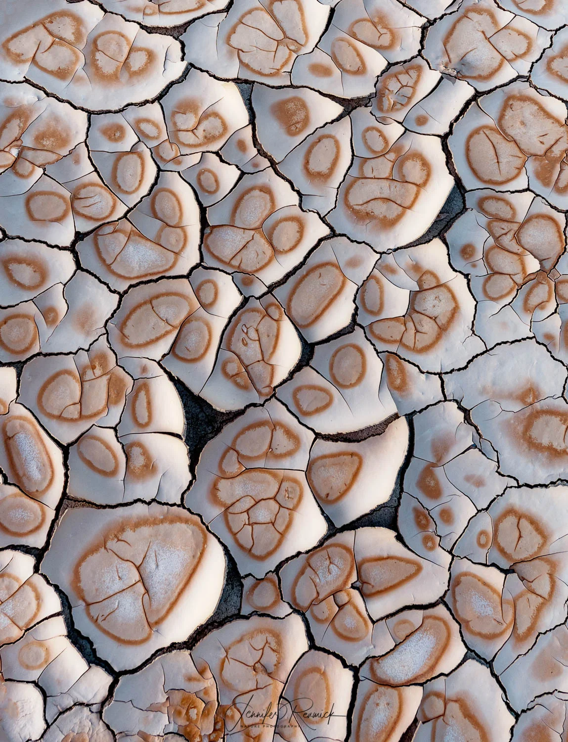 Desert Dots / Jennifer Renwick / Water that evaporated leaves circles in the middle of cracked mud