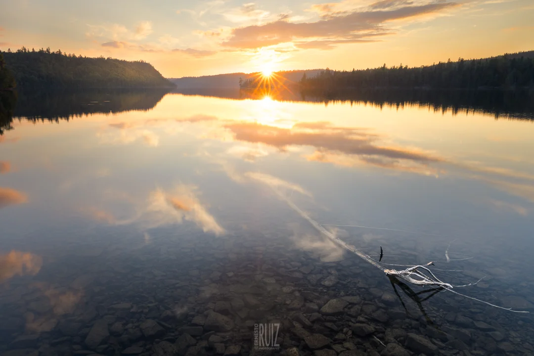 BWCAW Driftwood Sunset / Ernesto Ruiz