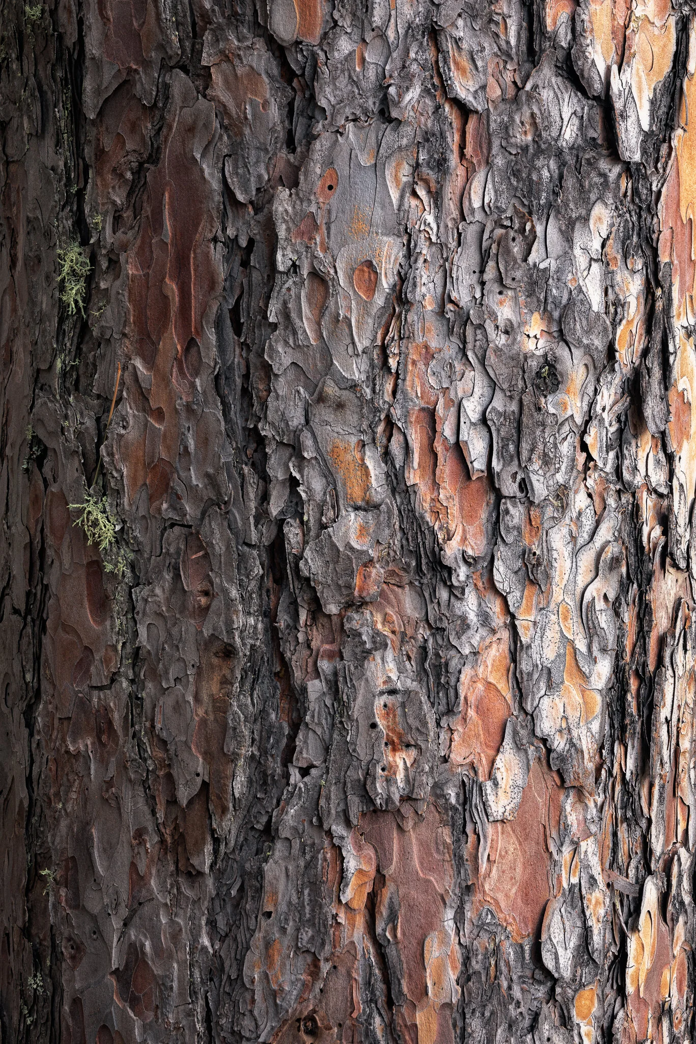 K45A9916-Edit.jpg