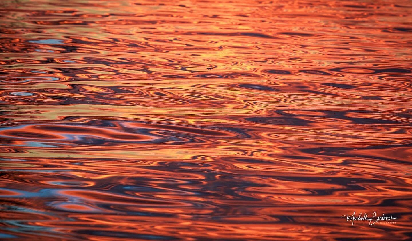 &ldquo;Fiery sunsets lead to liquid gold. The waters are mesmerizing to watch and it&rsquo;s easy to lose yourself in the hypnotic movement of the waves and wakes generated by the boat. All you hear is the gentle slosh of water up against the side of