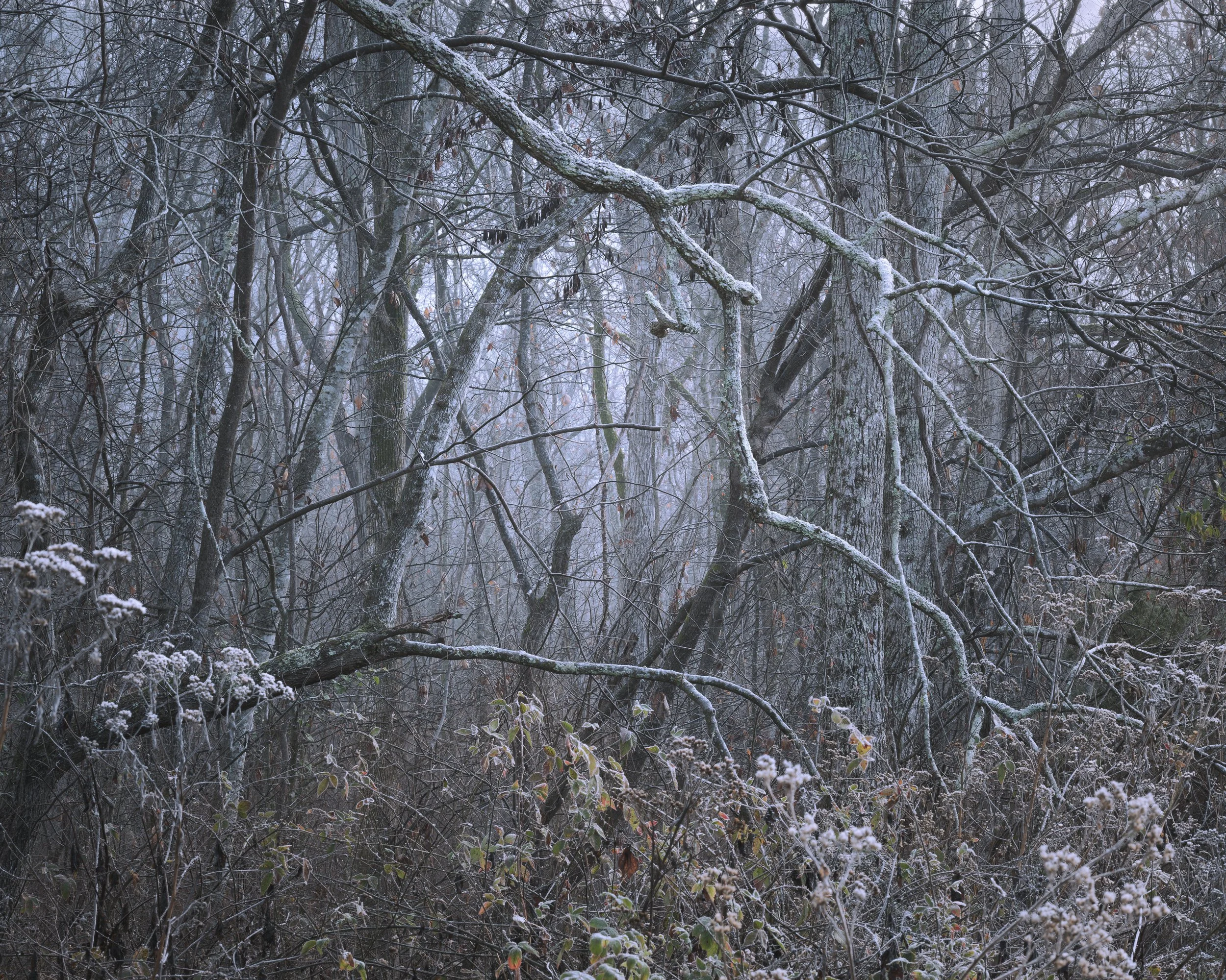 Mornings of Stillness: How a Local Mountain Resets My Rhythm