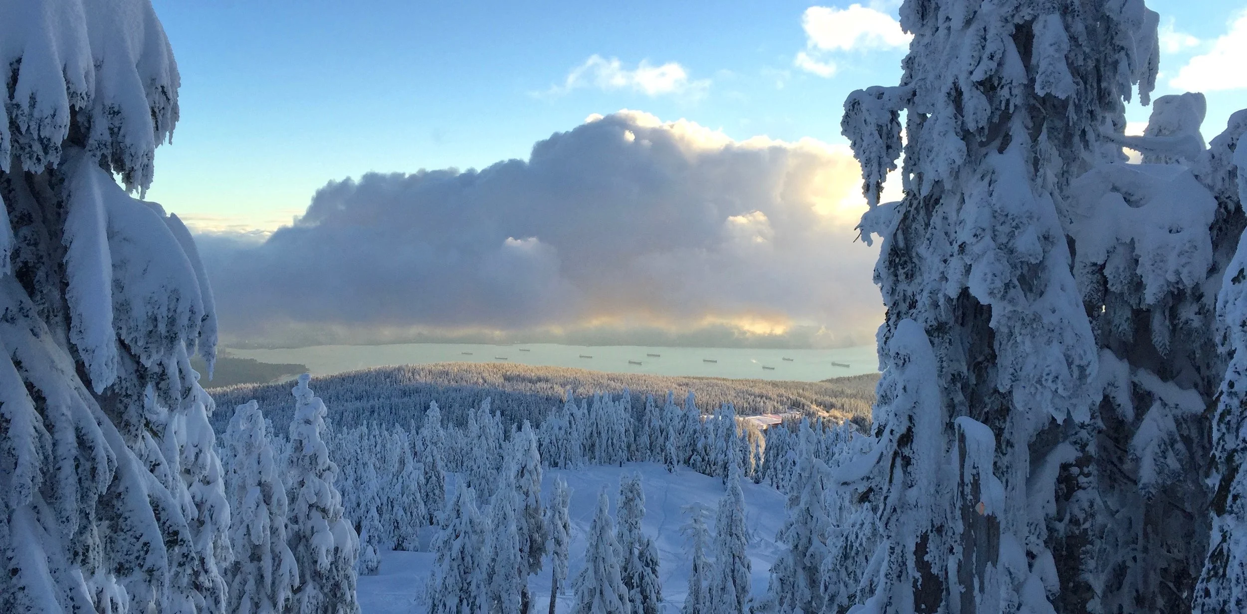 Snow - 1 of 1.jpg