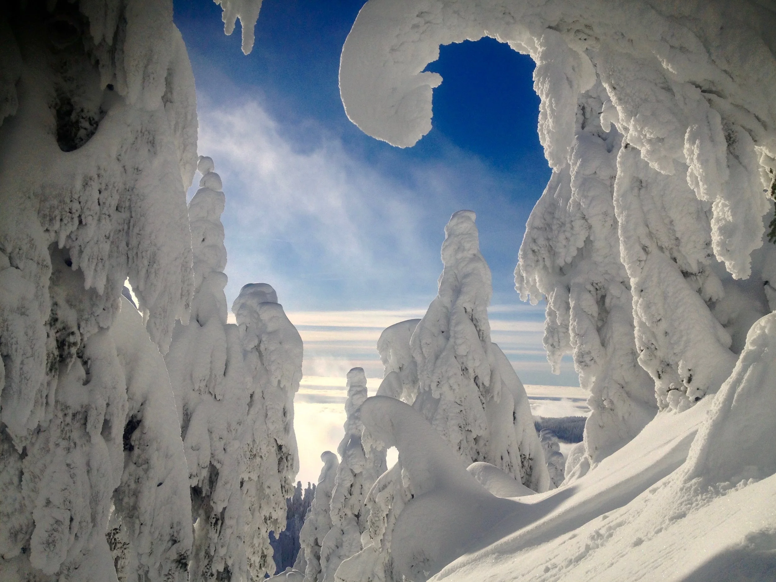 Snow - 15 of 29.jpg