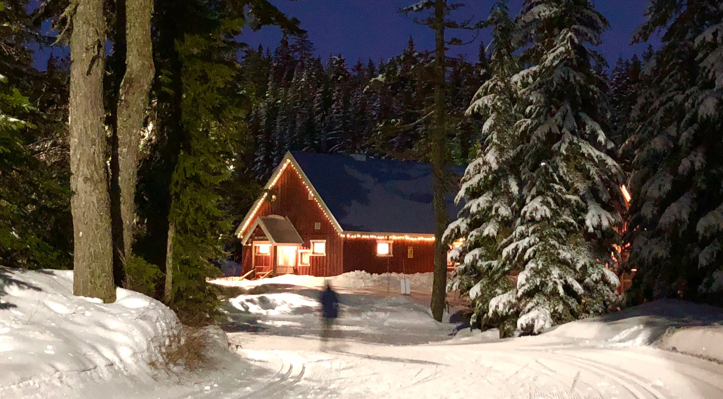 Snow - 2 of 29.jpg