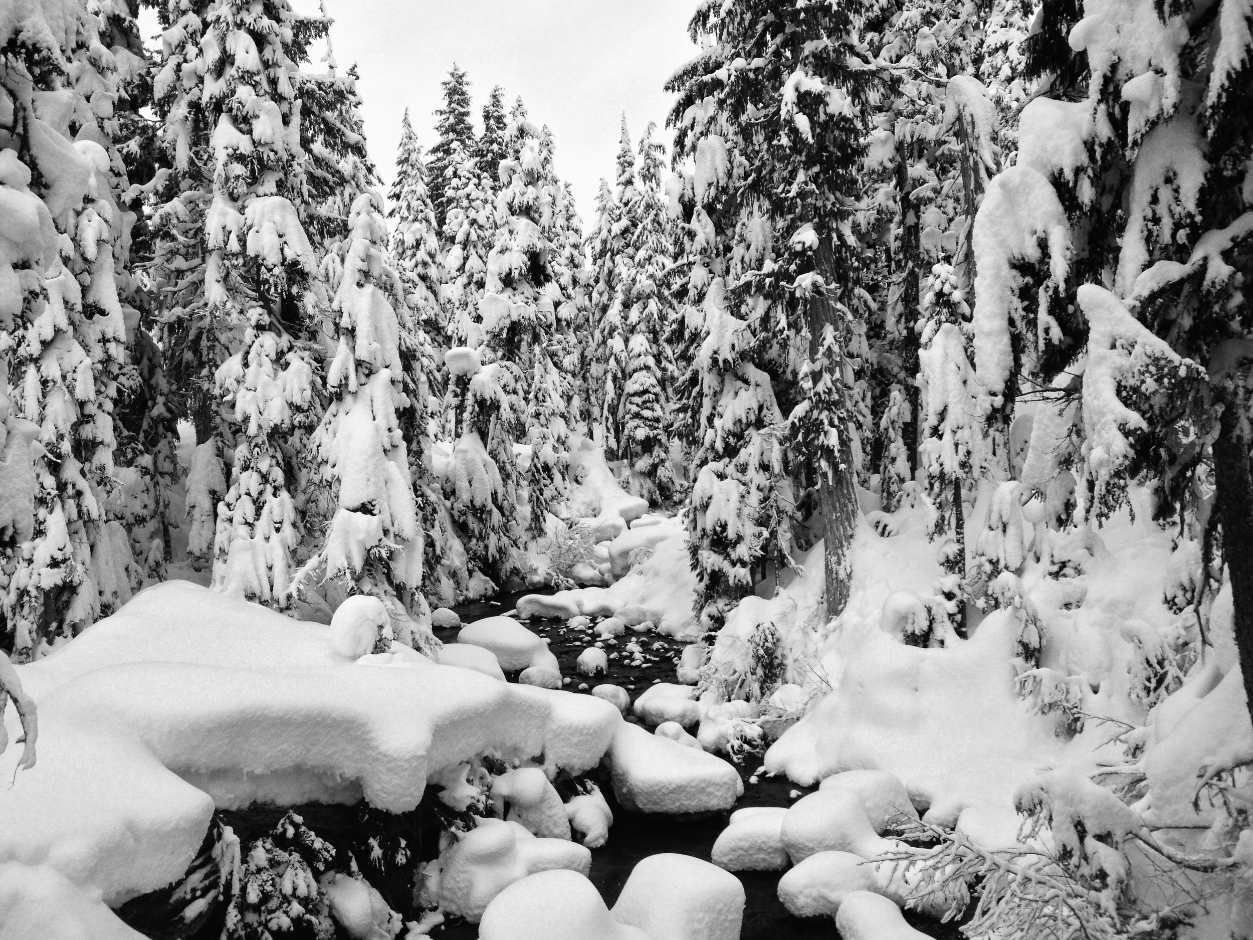 Snow - 11 of 29.jpg