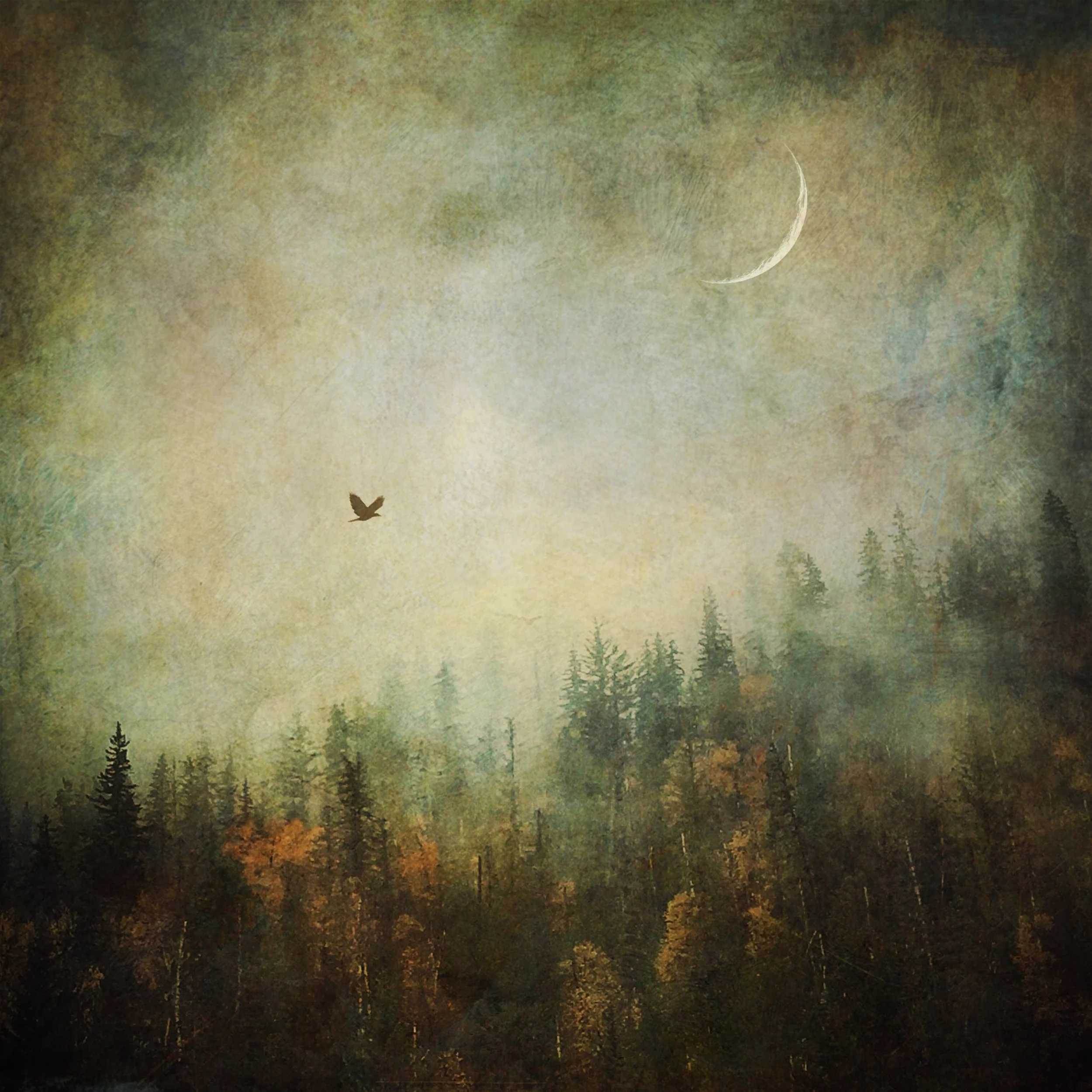 Autumn Mysteries.JPG