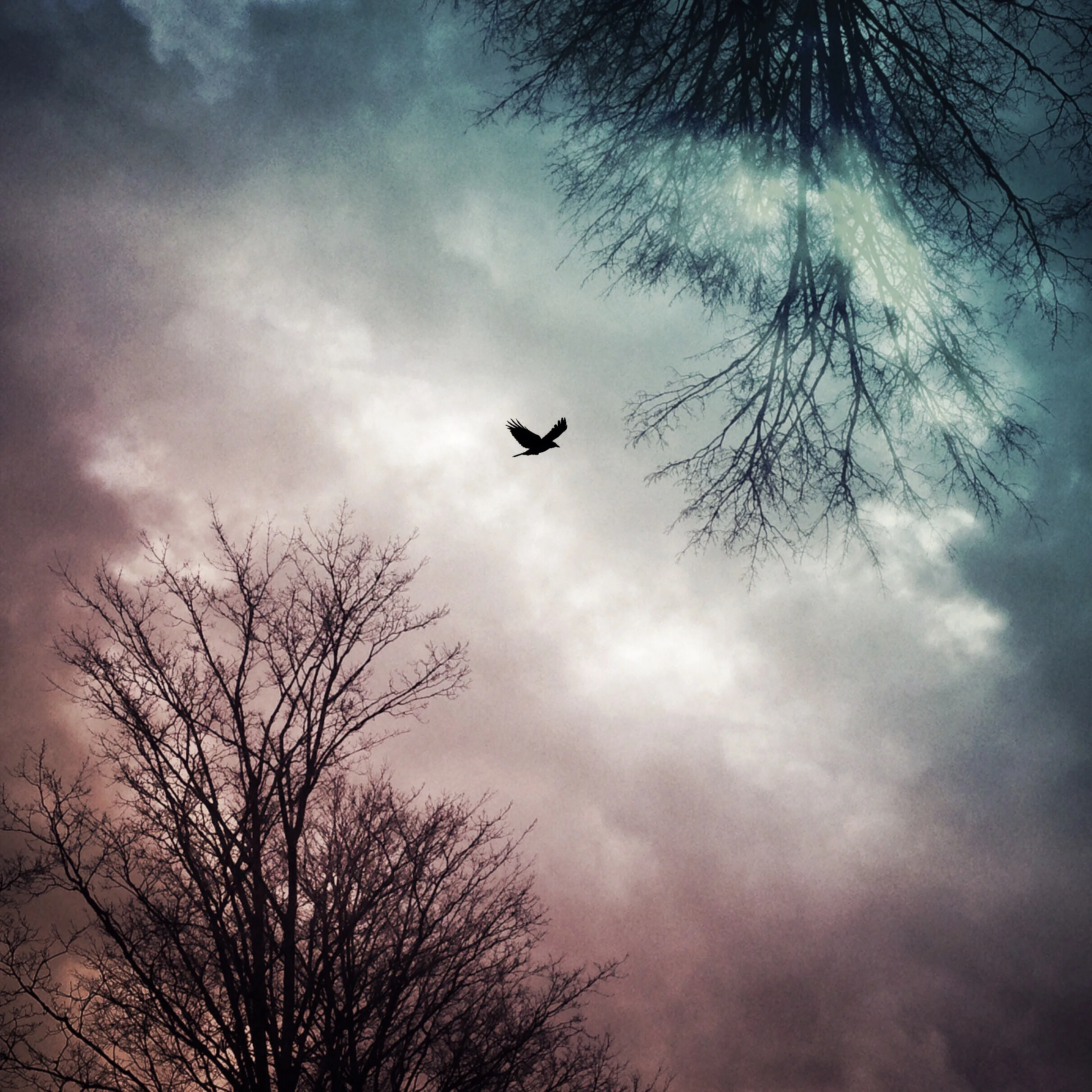 Between Two Worlds.JPG