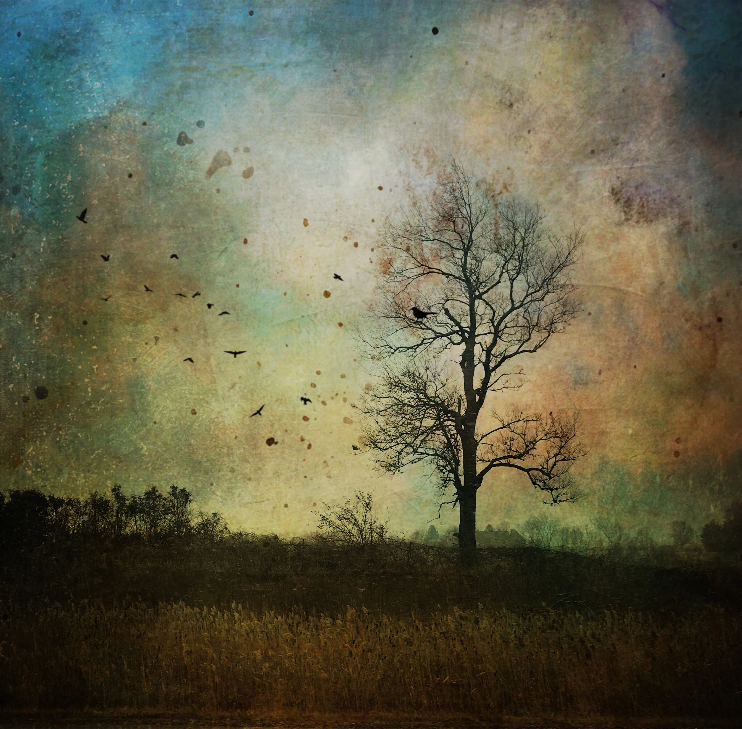 Rhythm of Nature.JPG