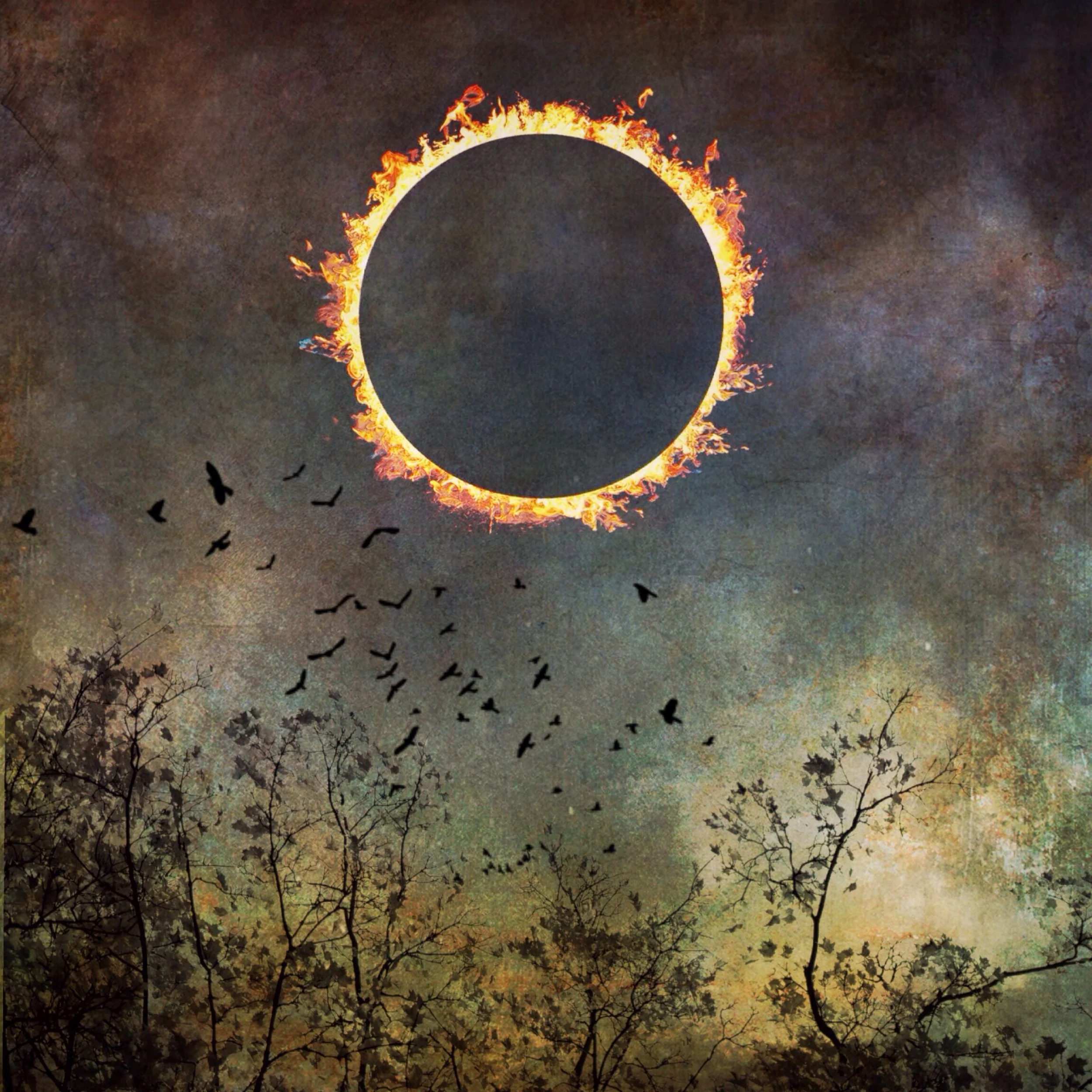Totality.JPG