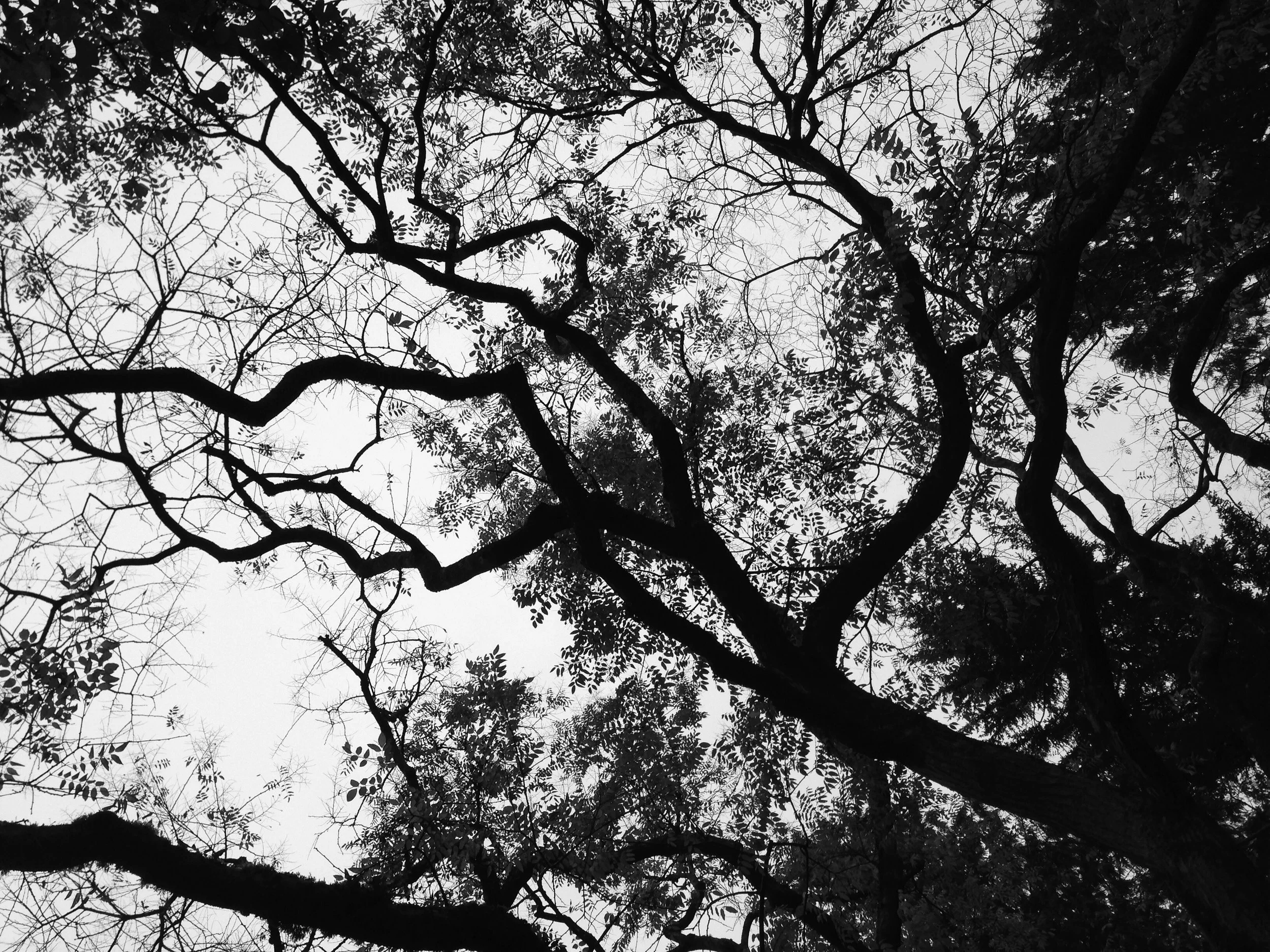 Reaching