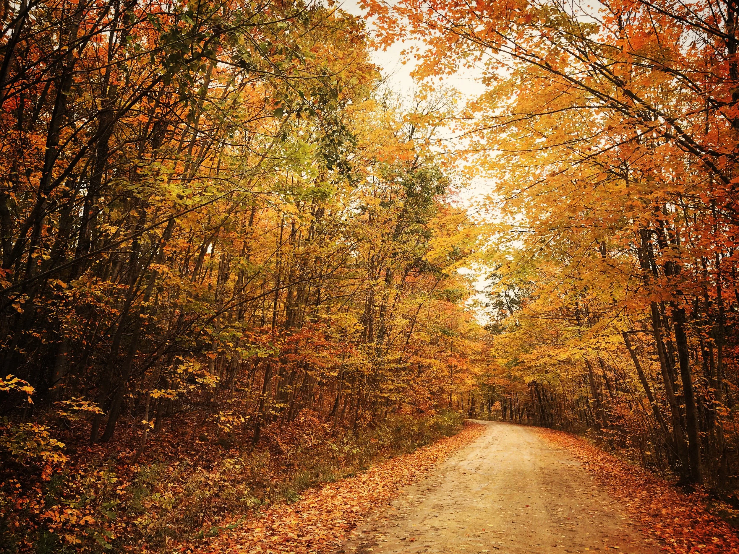 The Golden Path