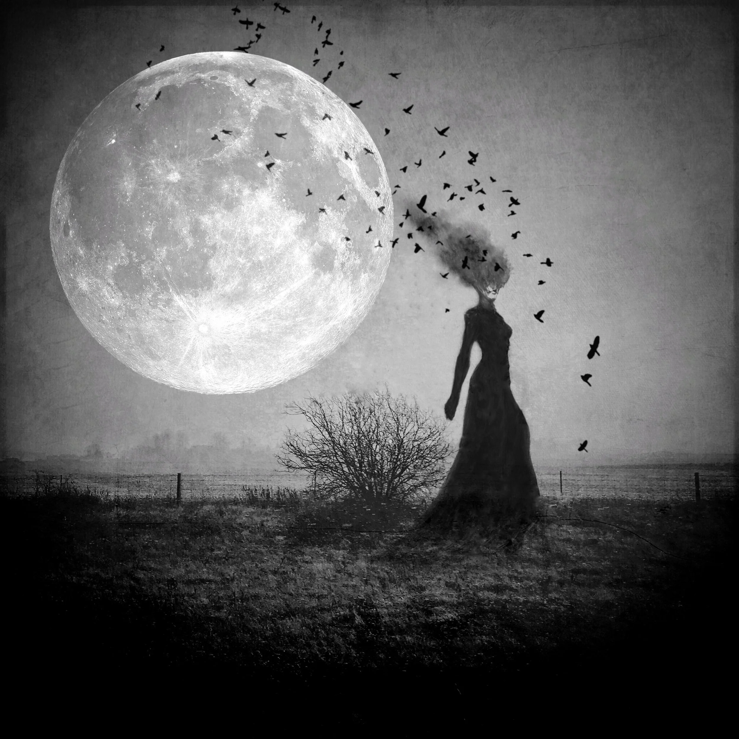 Witching Hour - JH Fine Art.JPG
