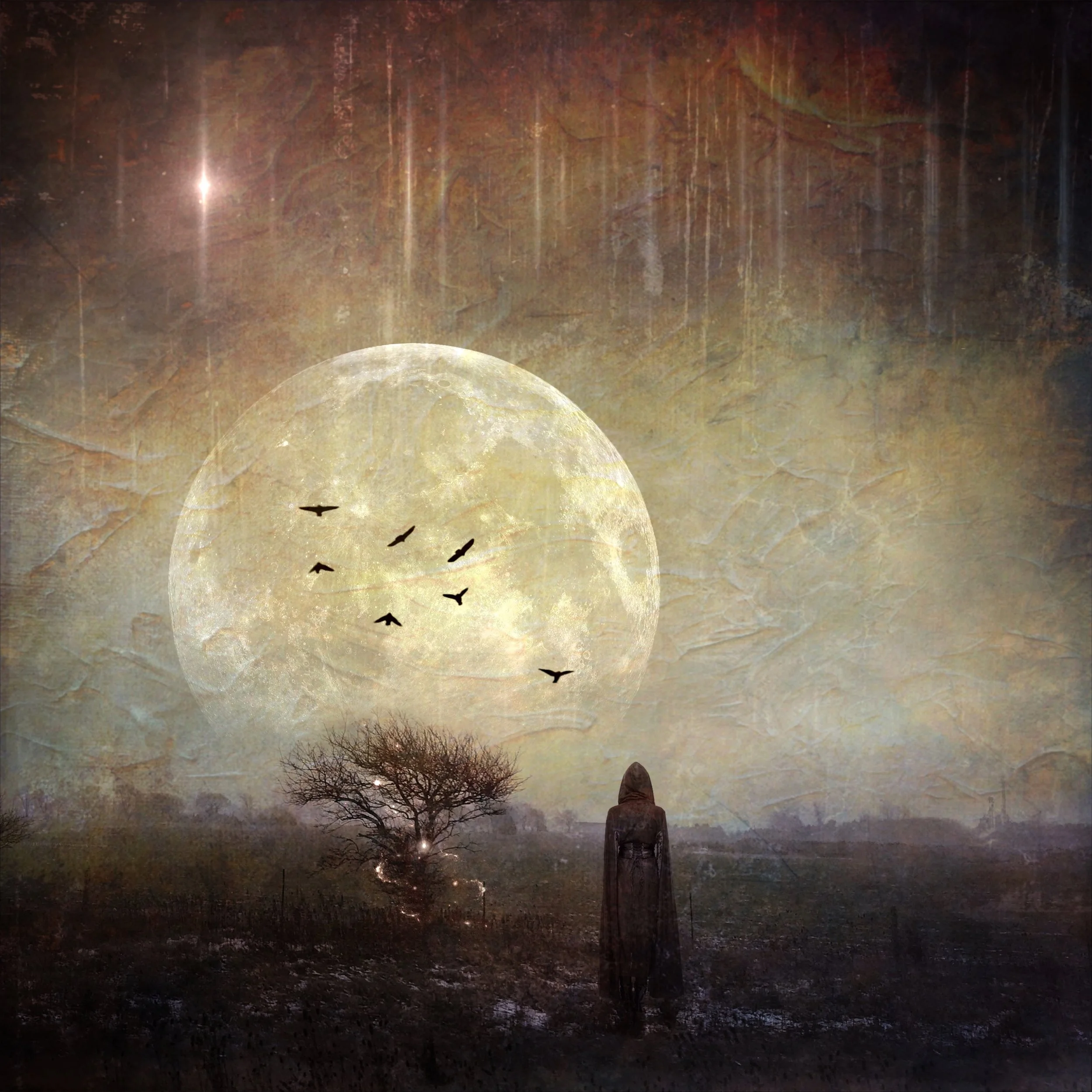 Moon Spells _ JensFineArt.JPG