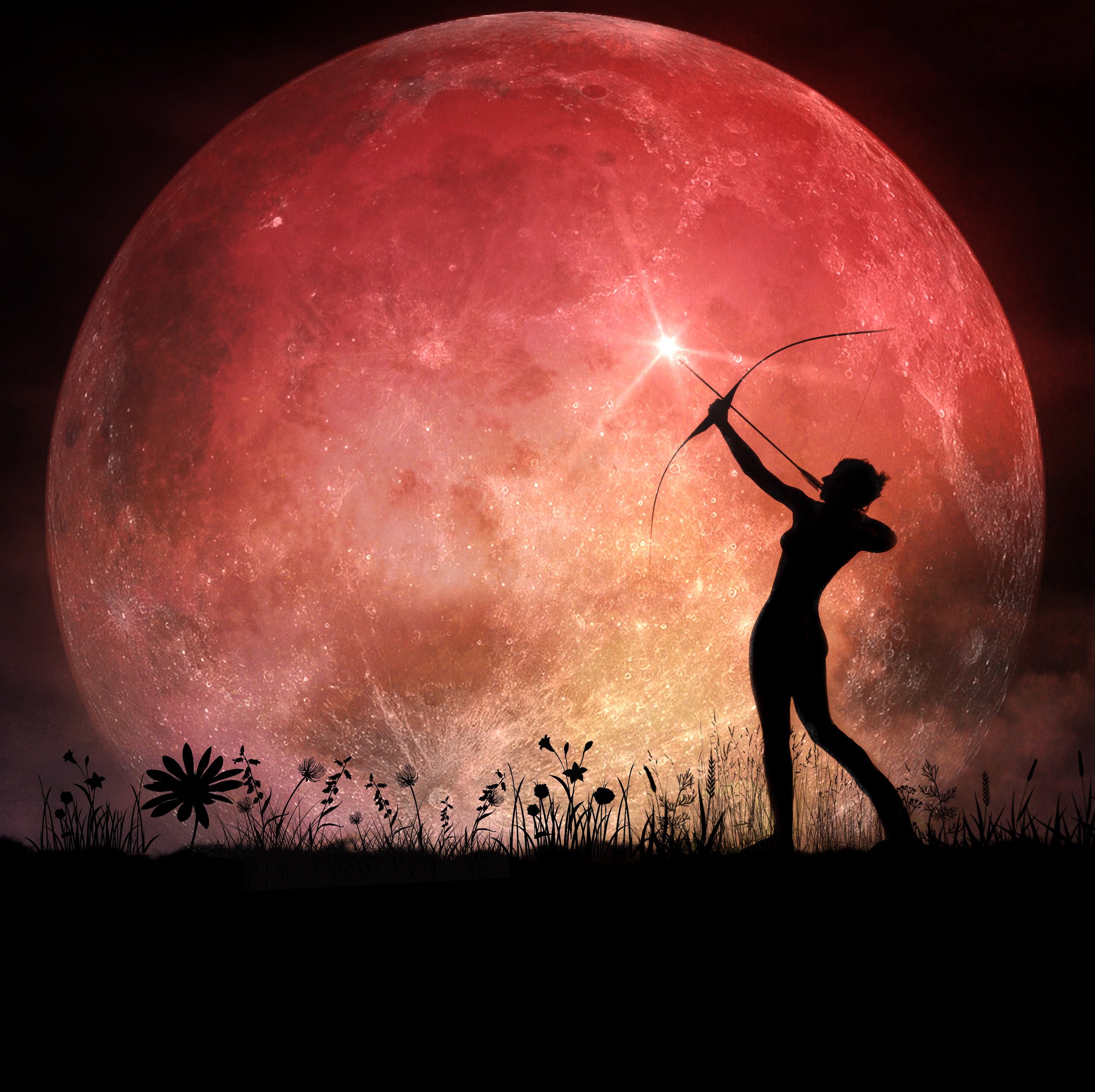 Celestial Aim _ JensFineArt.JPG