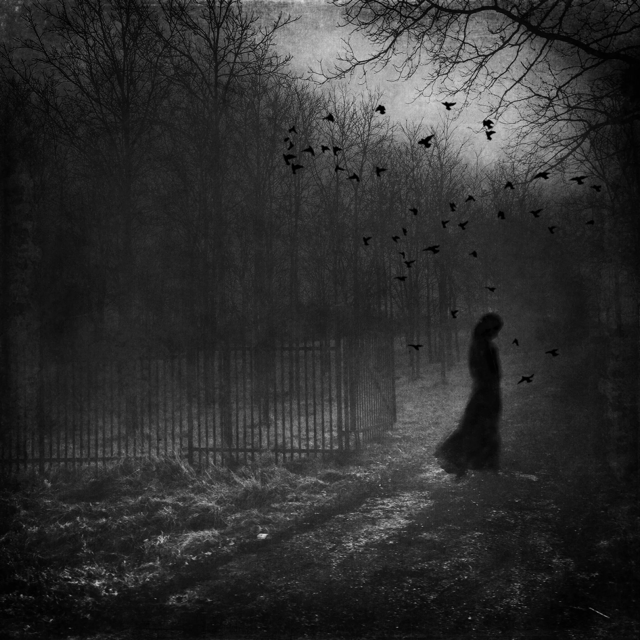 The Impossible Path _ JensFineArt.JPG