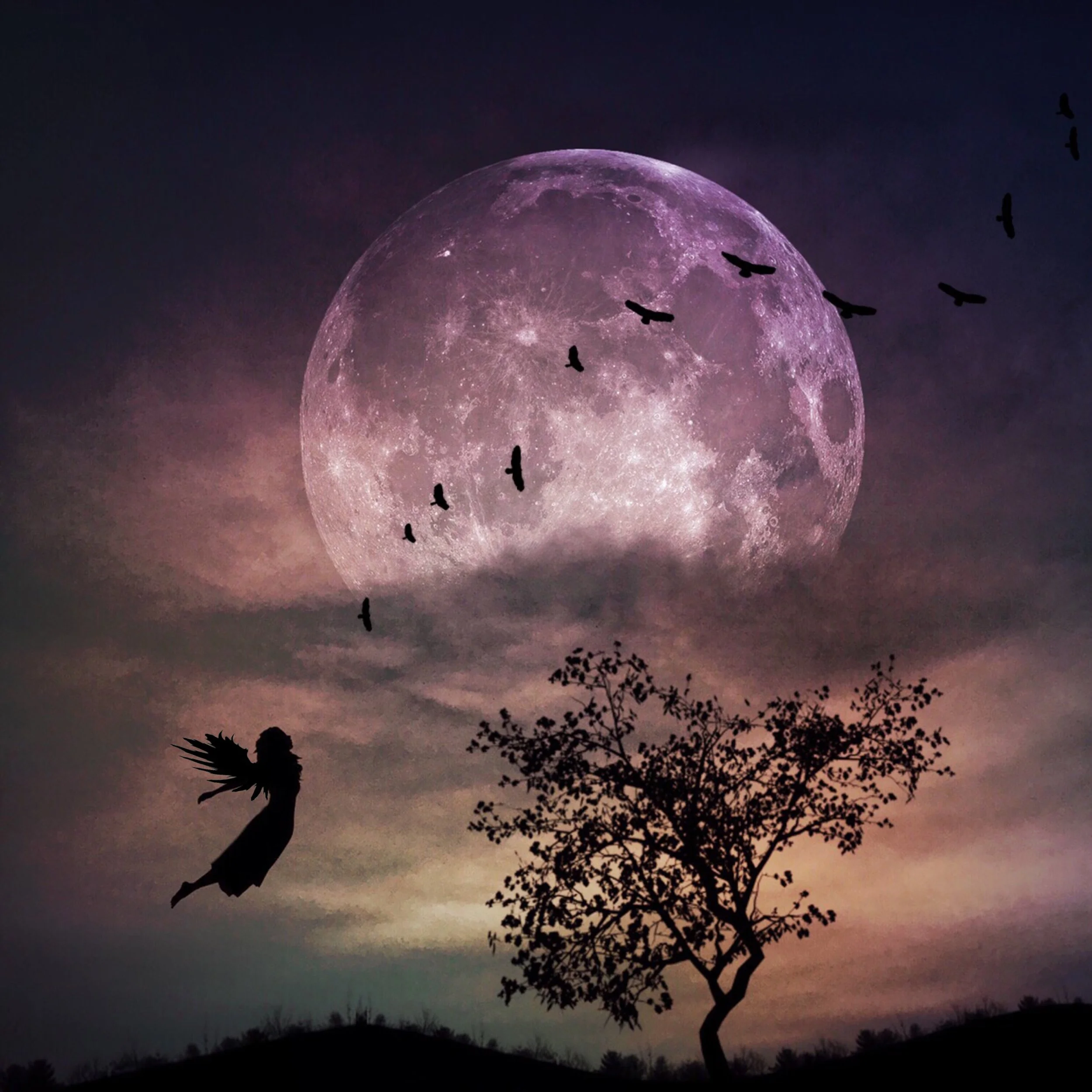 Time to Fly_JensFineArt.JPG