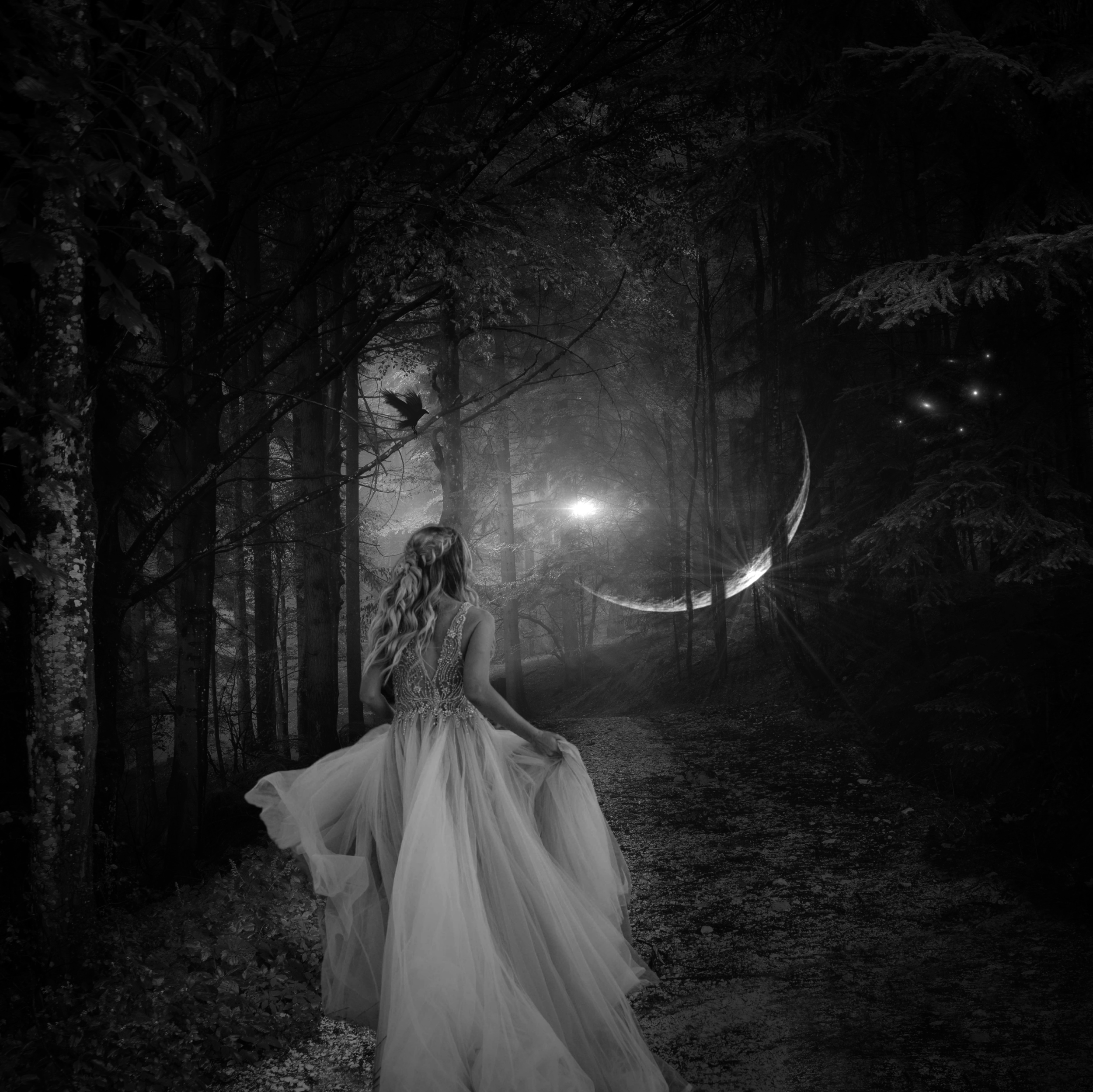 Call of the Moon _ JensFineArt.PNG