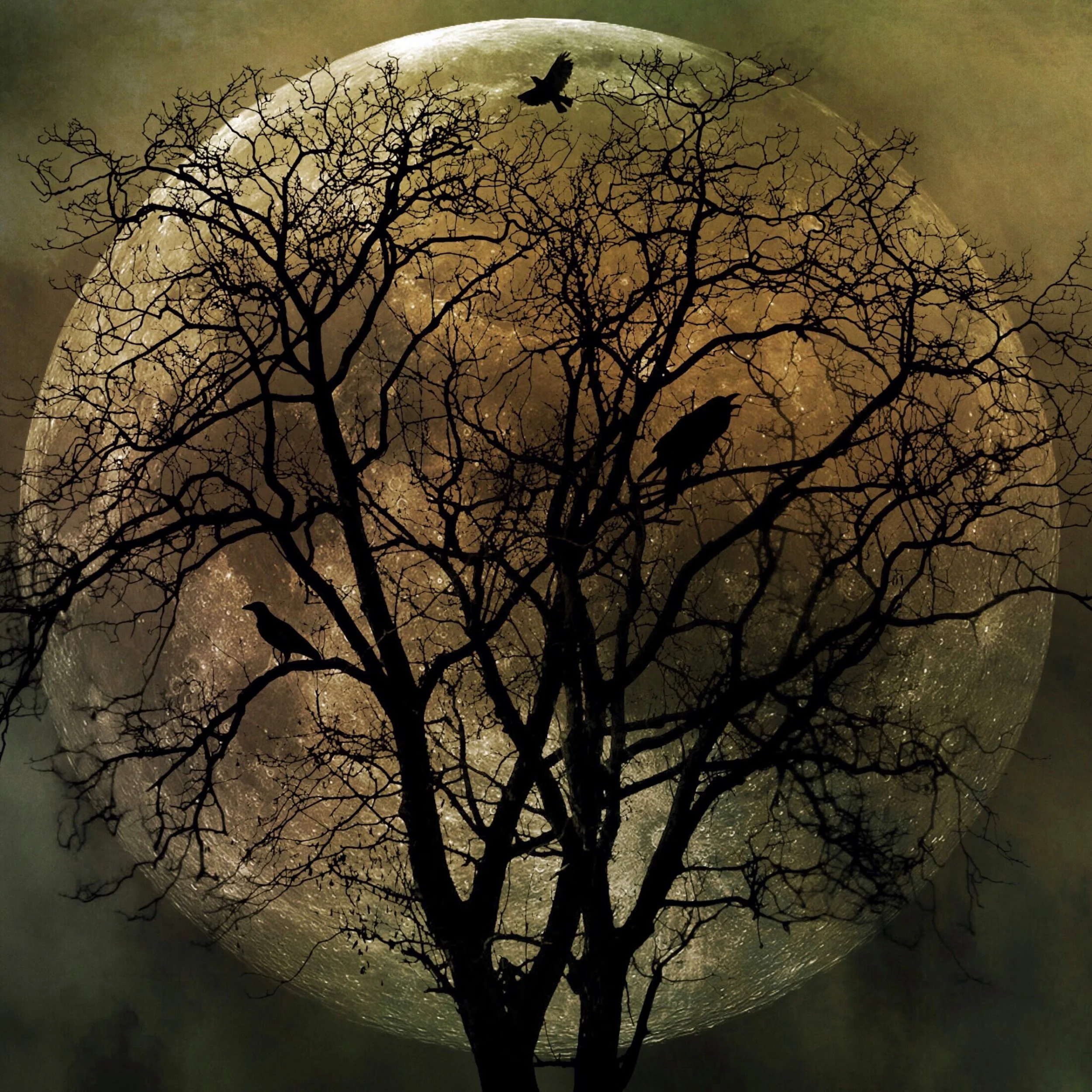 October Moon _ JensFineArt.JPG