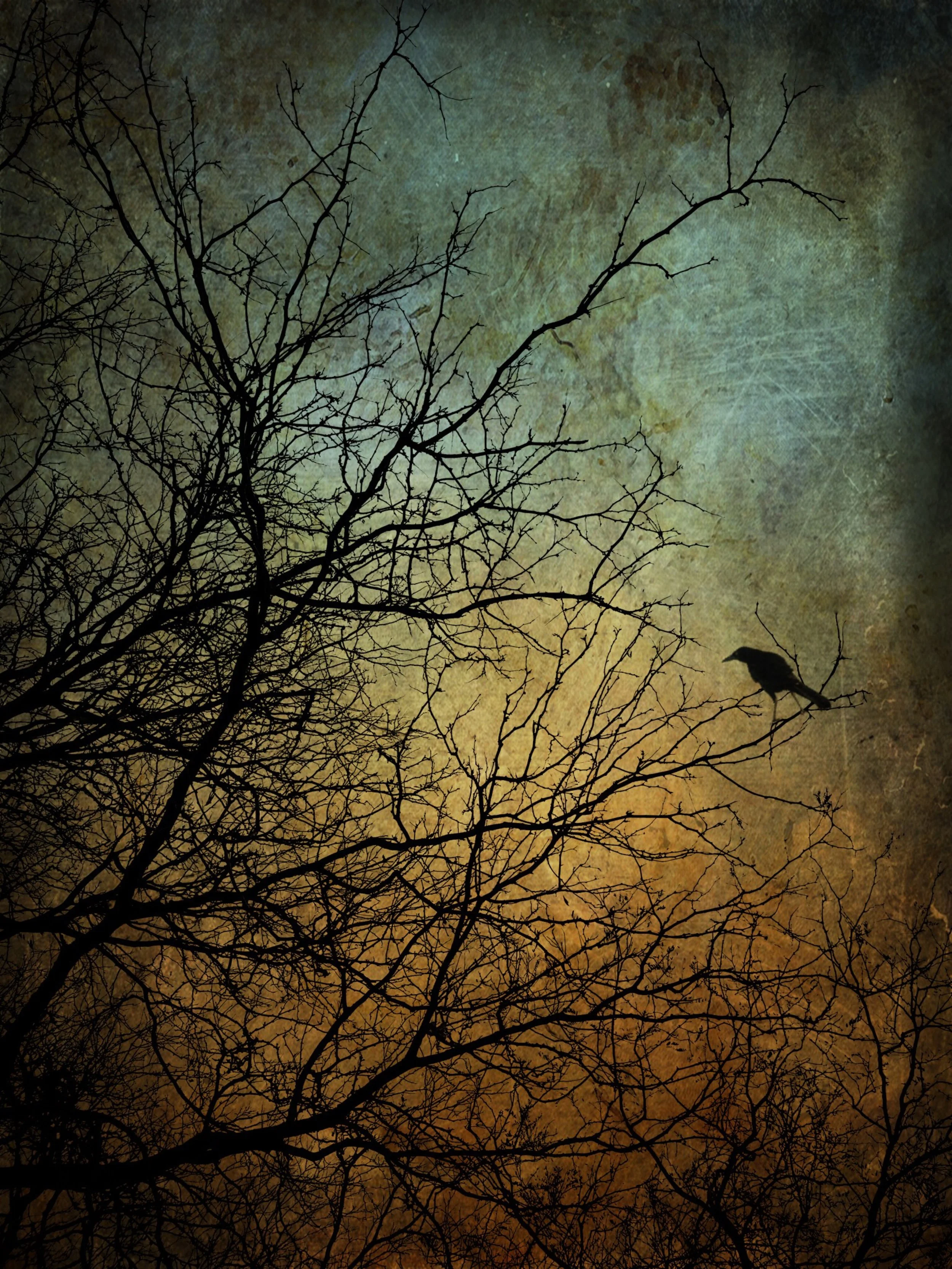 Stay Magical _ JensFineArt.JPG
