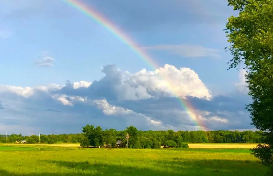 The view from the front porch at the farm.