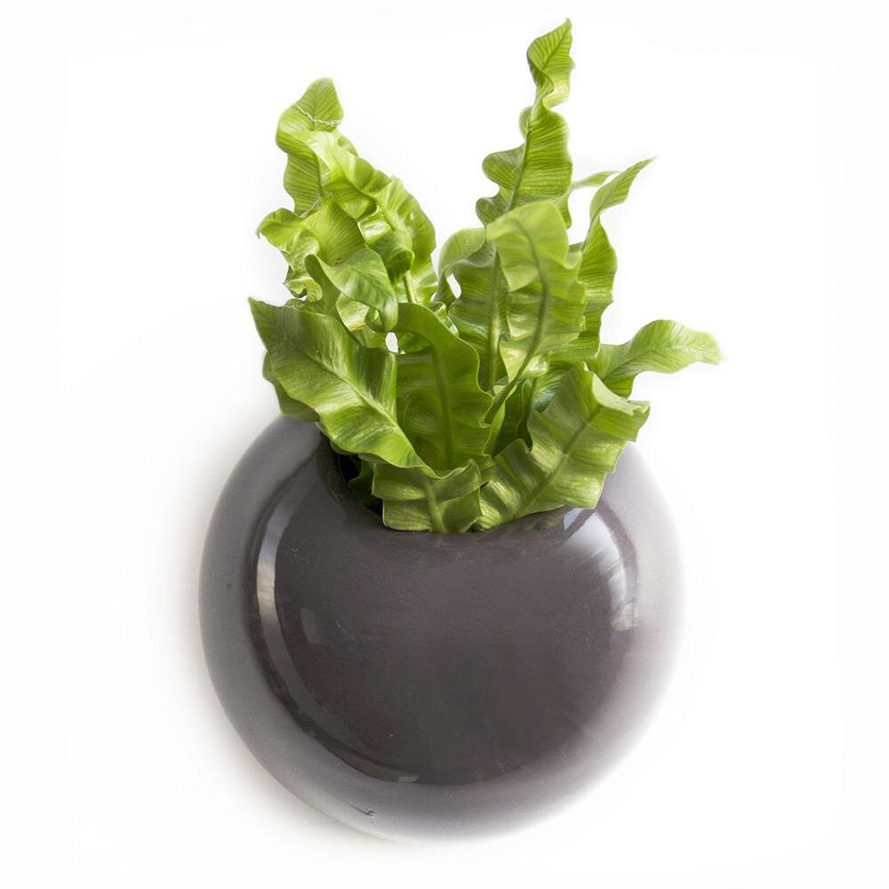 Wall Planter - Gray