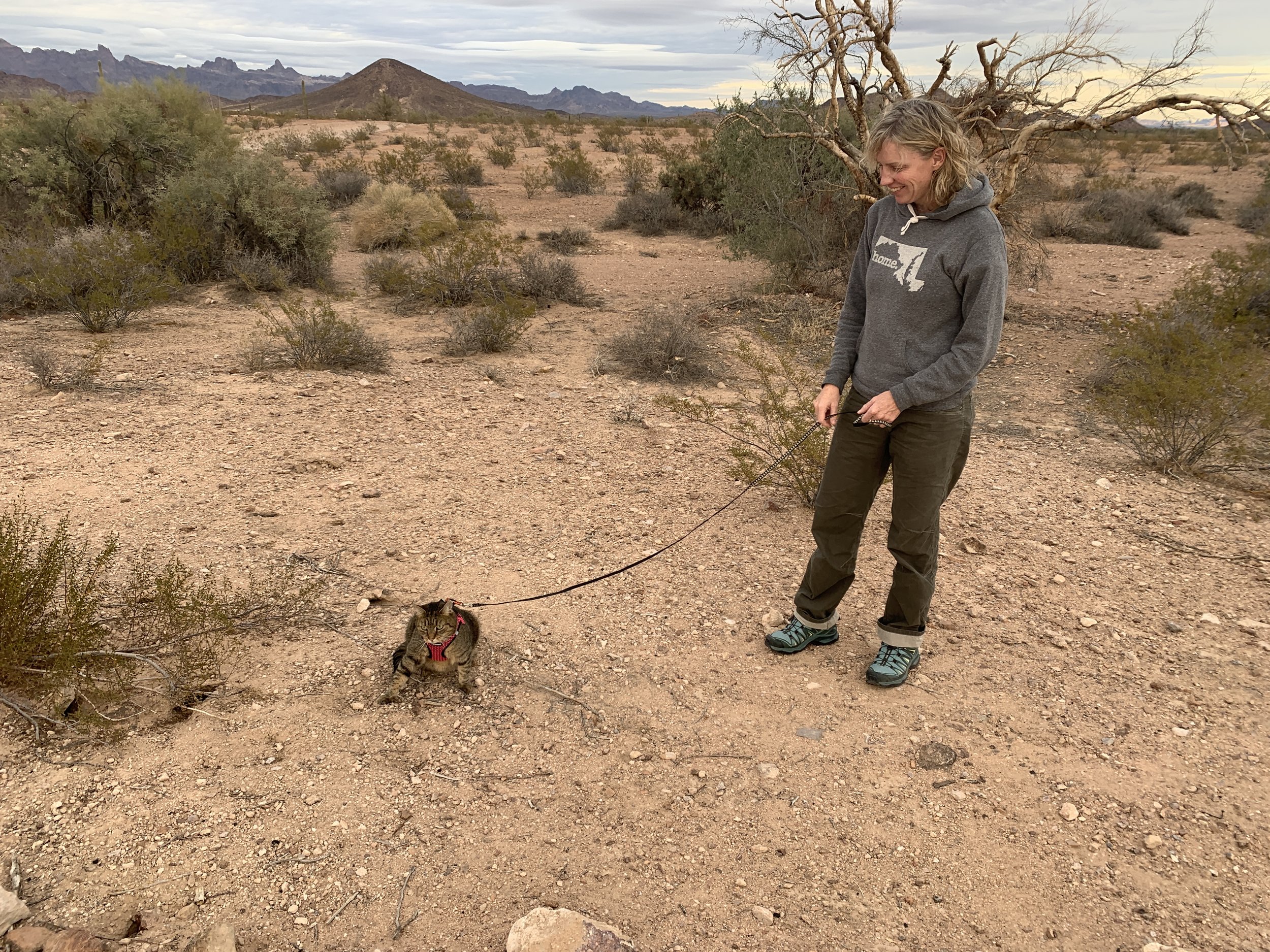 Ruthie exploring the Kofa desert