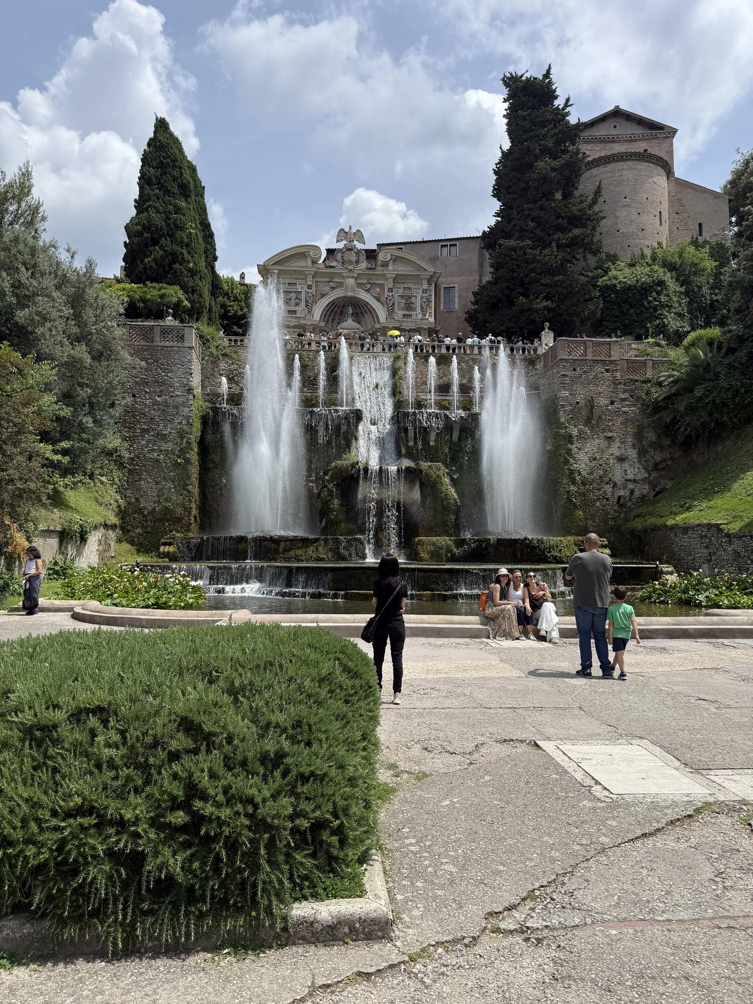 IMG_3446.jpeg