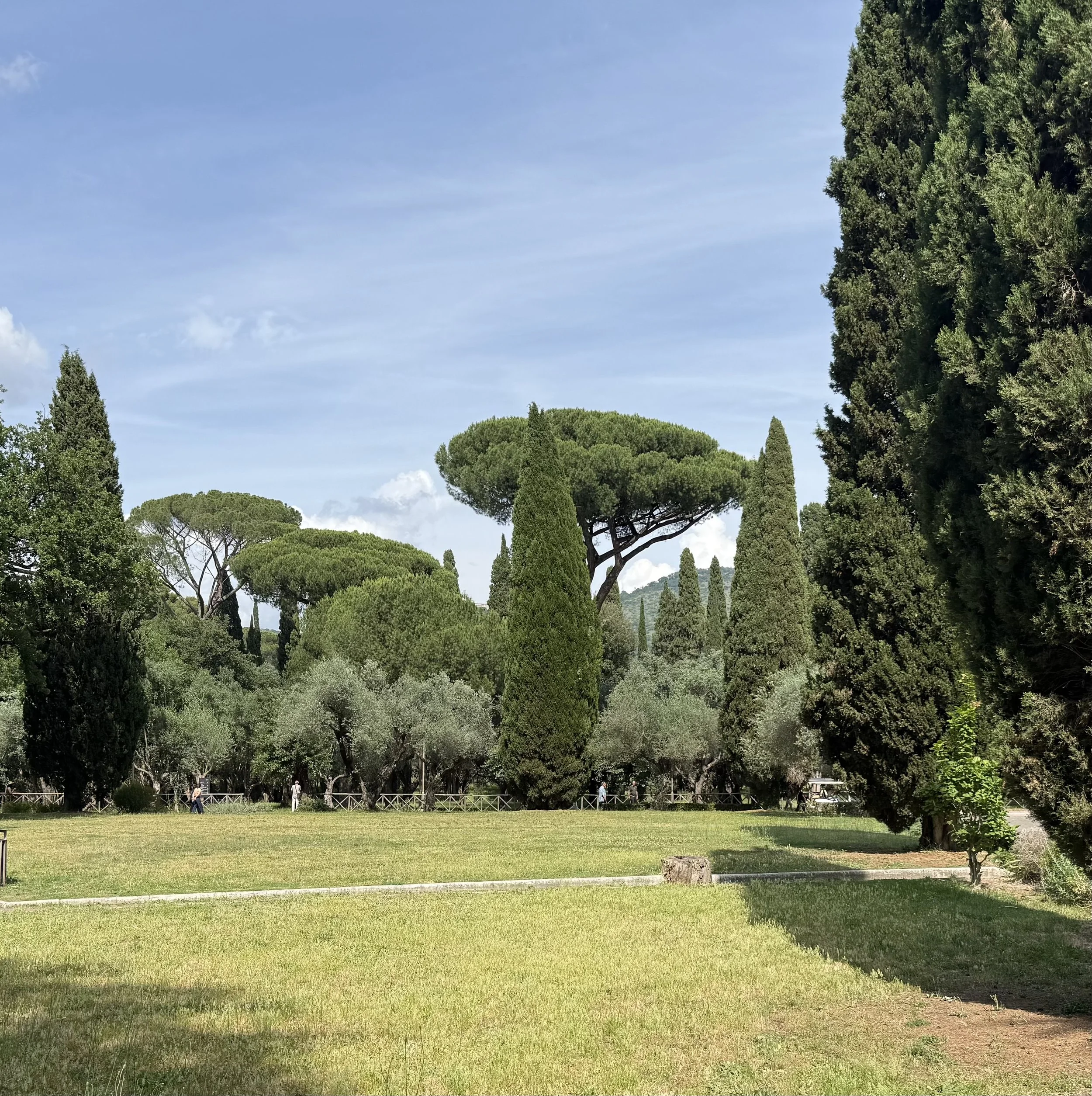 IMG_3470.jpeg