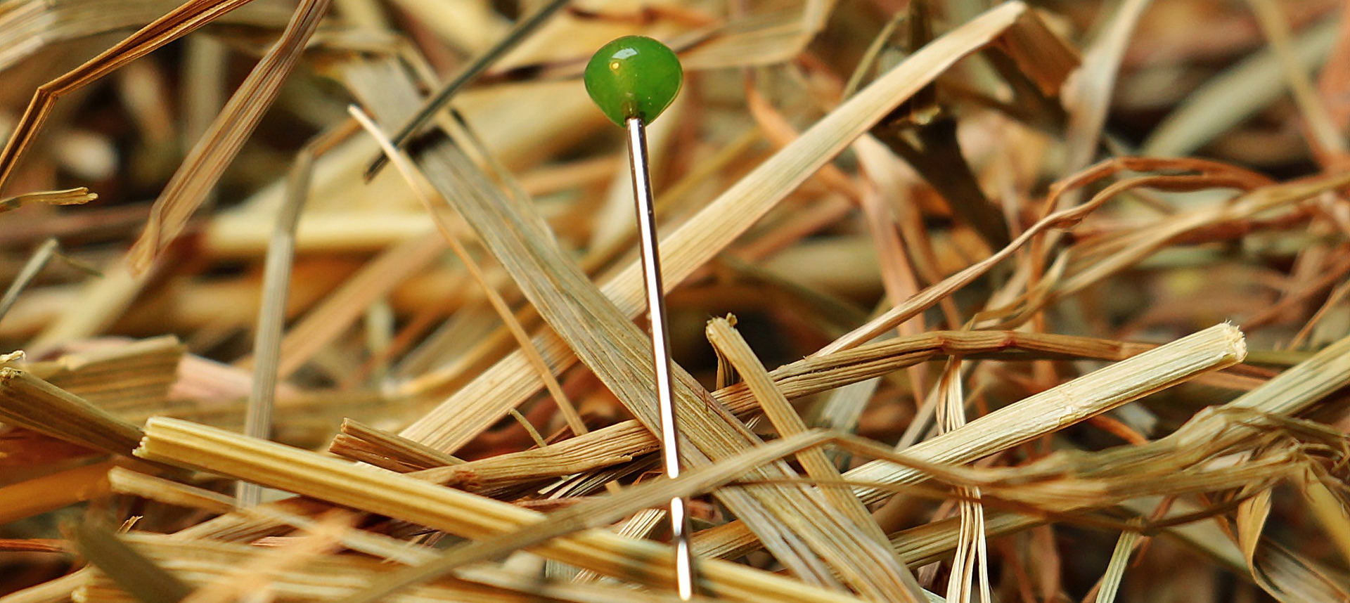 MaxPixel.freegreatpicture.com-Love-Haystack-Pin-Needle-Needle-In-A-Haystack-1752846.jpg