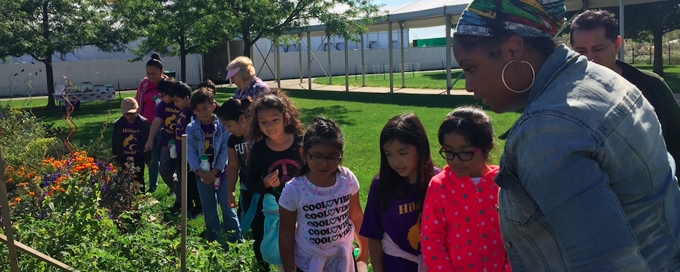 Screen Shot 2022-02-03 at 12.13.31 PM.png