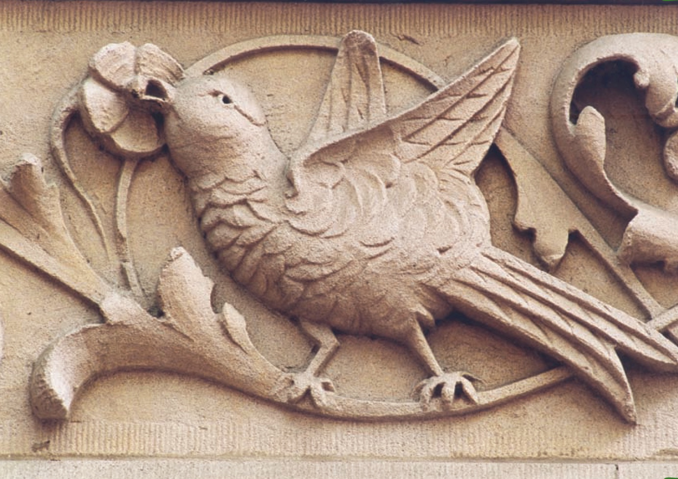 UA-bird.jpeg