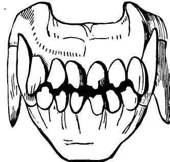 New work forthcoming in CRAFT and Hawai’i Pacific Review