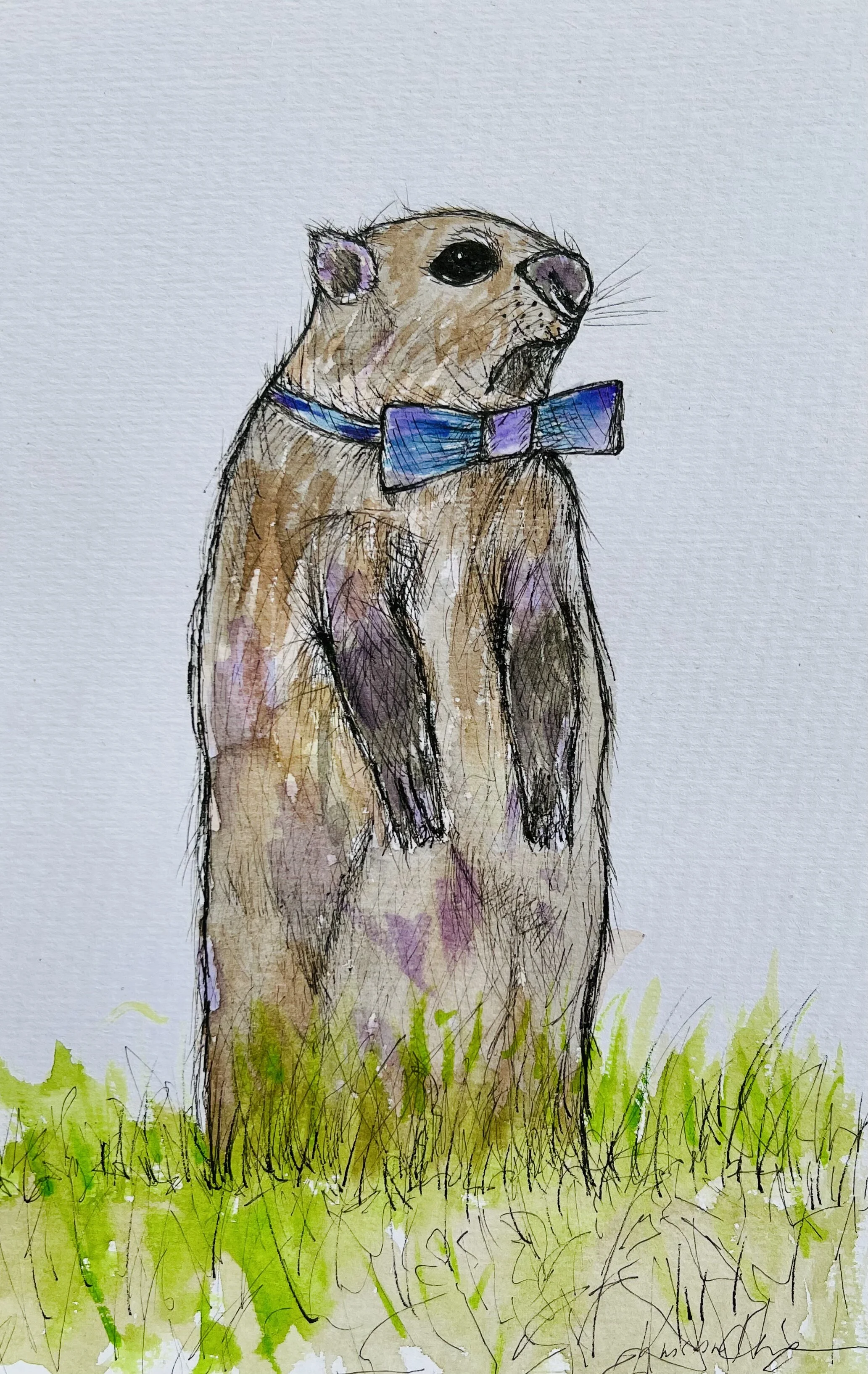 What Keeps Me Up at Night