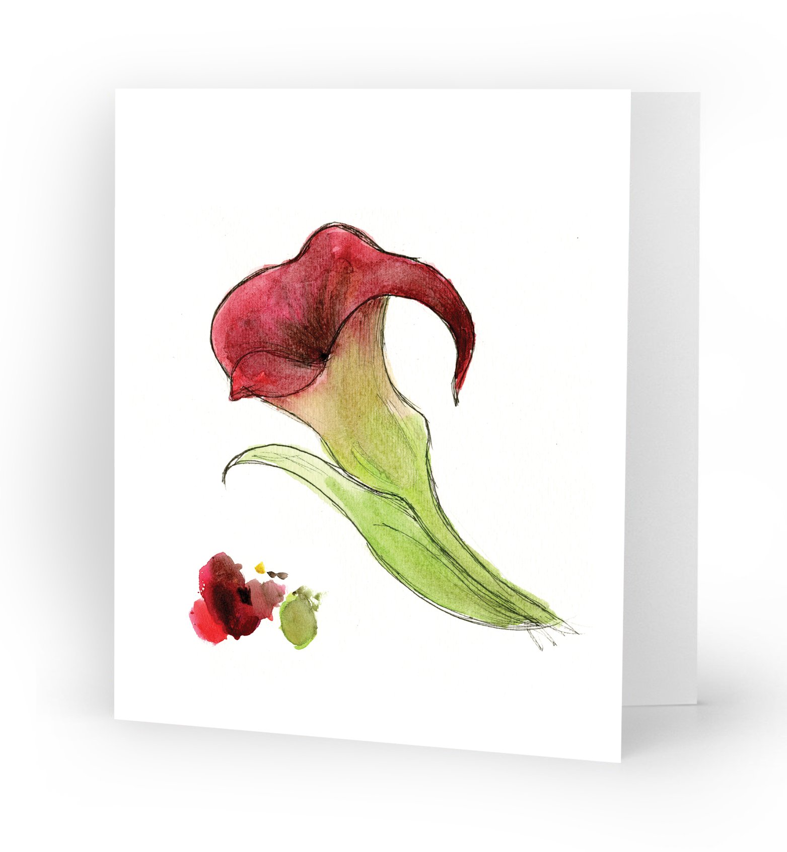 RedCallaLily.jpg