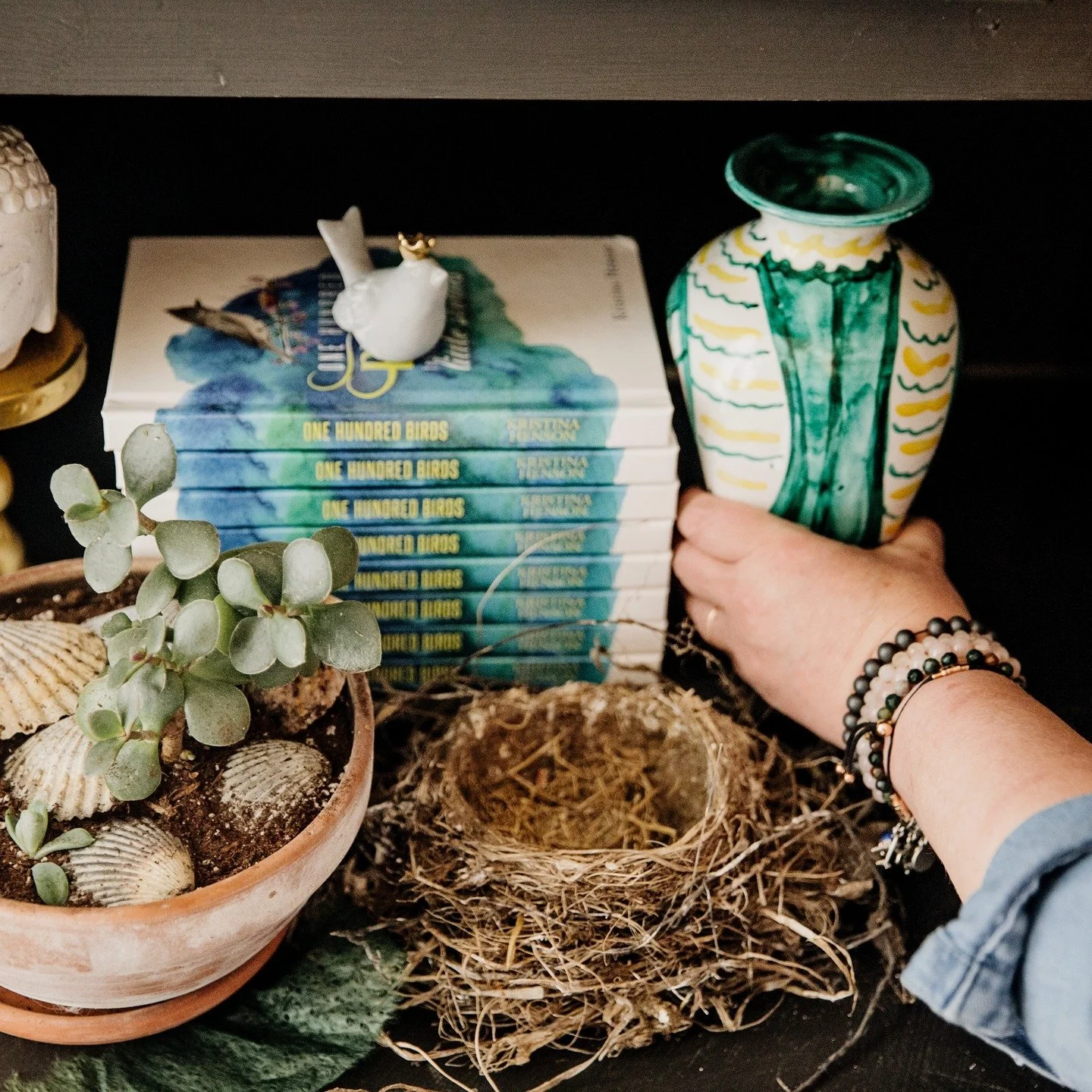 My bird book is officially back in stock (!), and I just shared a little life update in this week&rsquo;s newsletter&mdash;complete with a birthday trip to Colorado, an unexpected 11&frac12;-hour drive home, tiny elephants hiding around my house, and