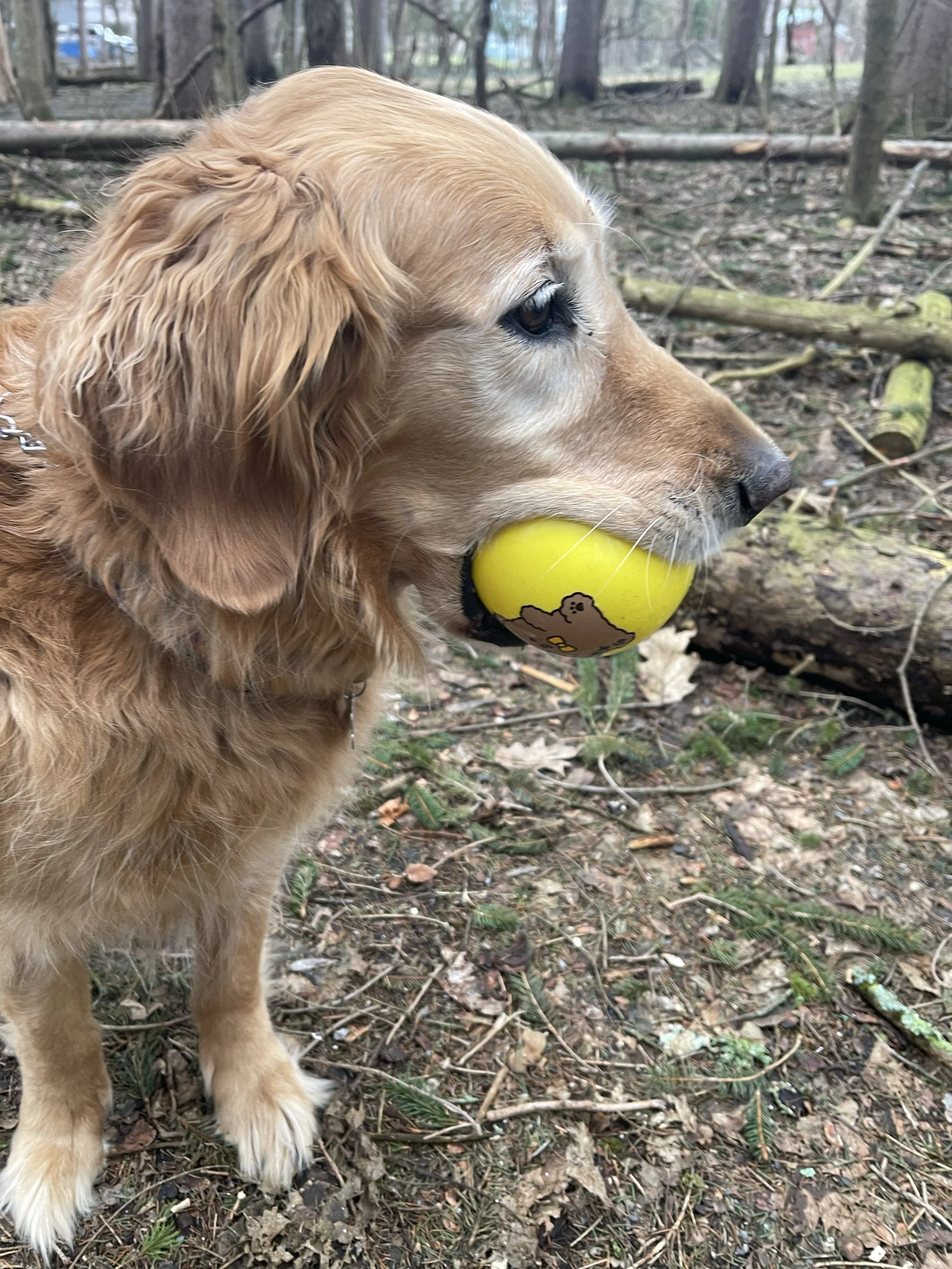 Sounds and Sights at 8:00 AM 