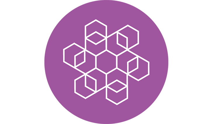 PICTO_SYSTEME_COMPLEXE_Bi_2.png