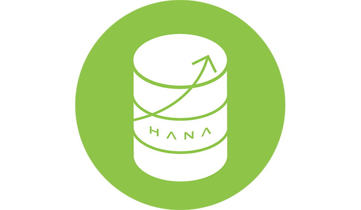 PICTO_PERFORMANCE_HANA_data_2.png