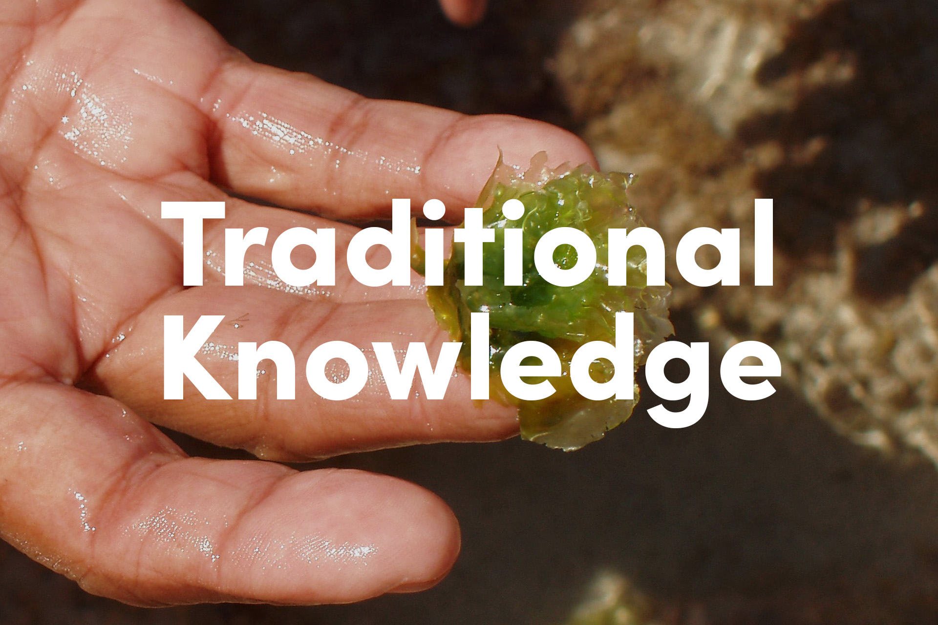 traditional-knowledge.jpg