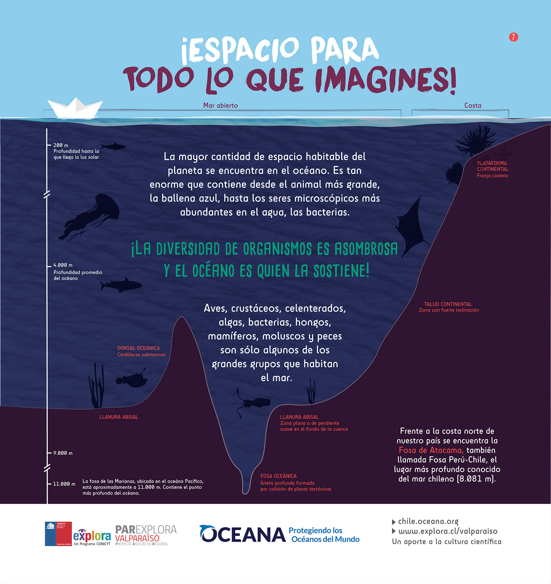 Ocean Literacy—Spanish — National Marine Educators Association