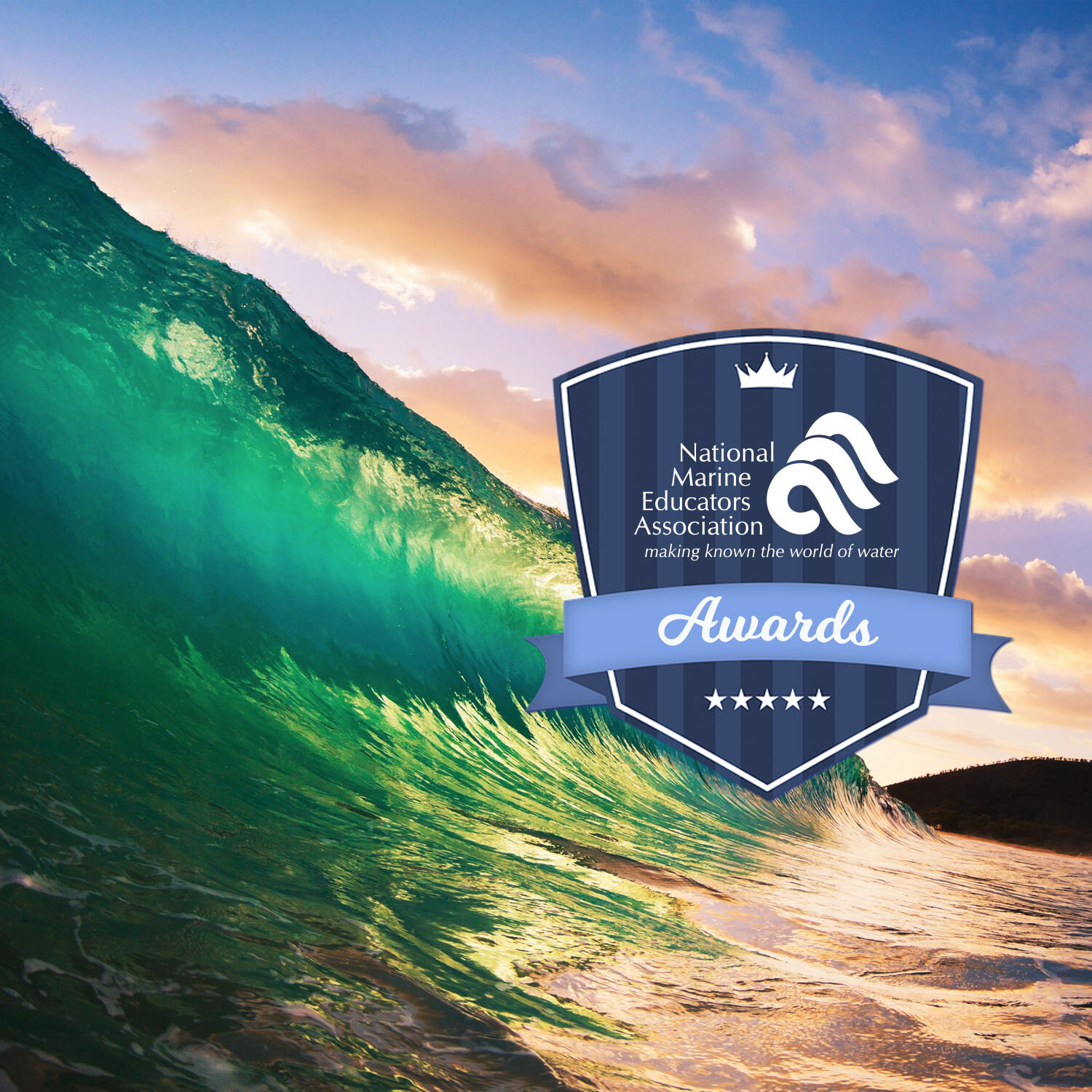 2020 NMEA Award Winners