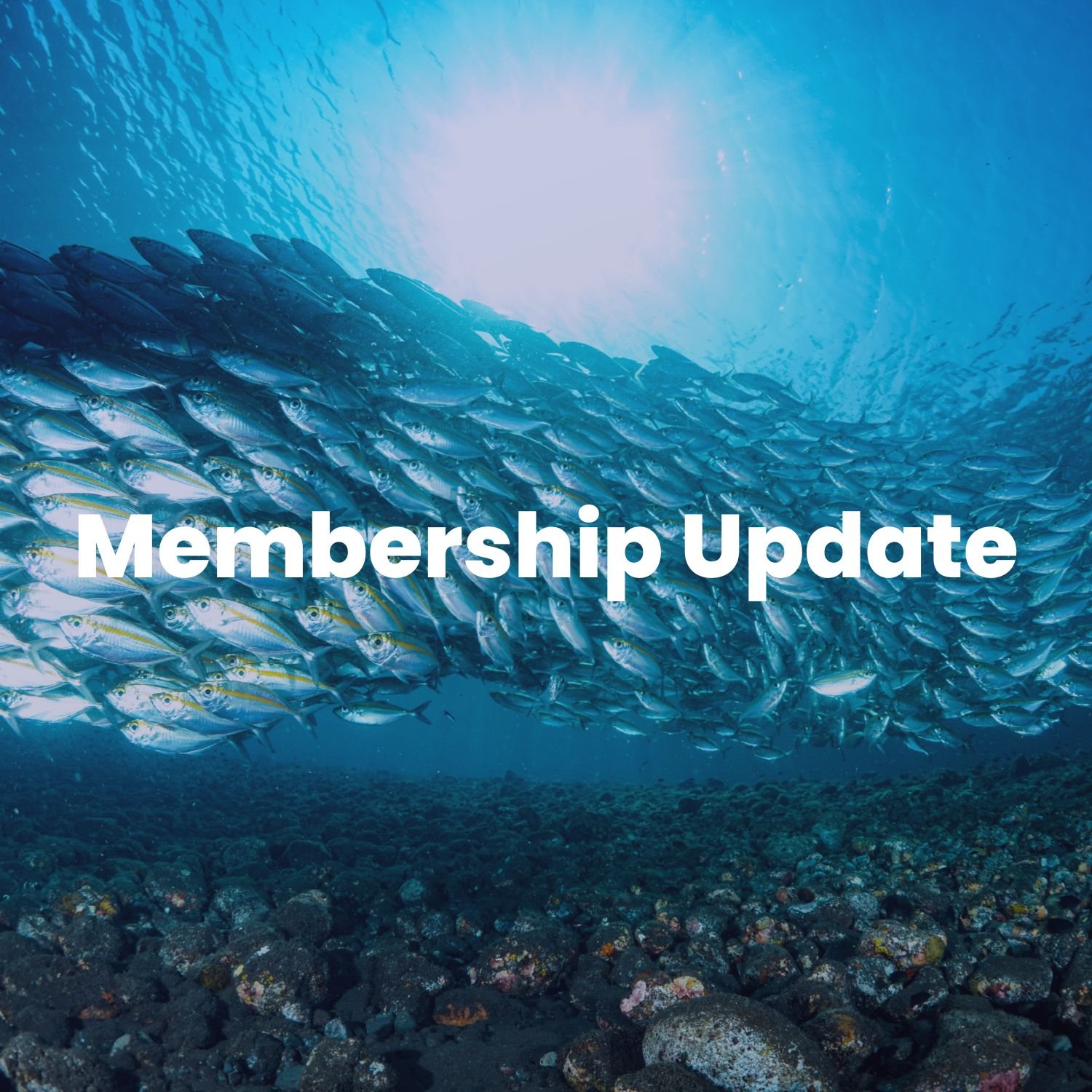 NMEA Dues Update: Sustaining Member Benefits and Growth