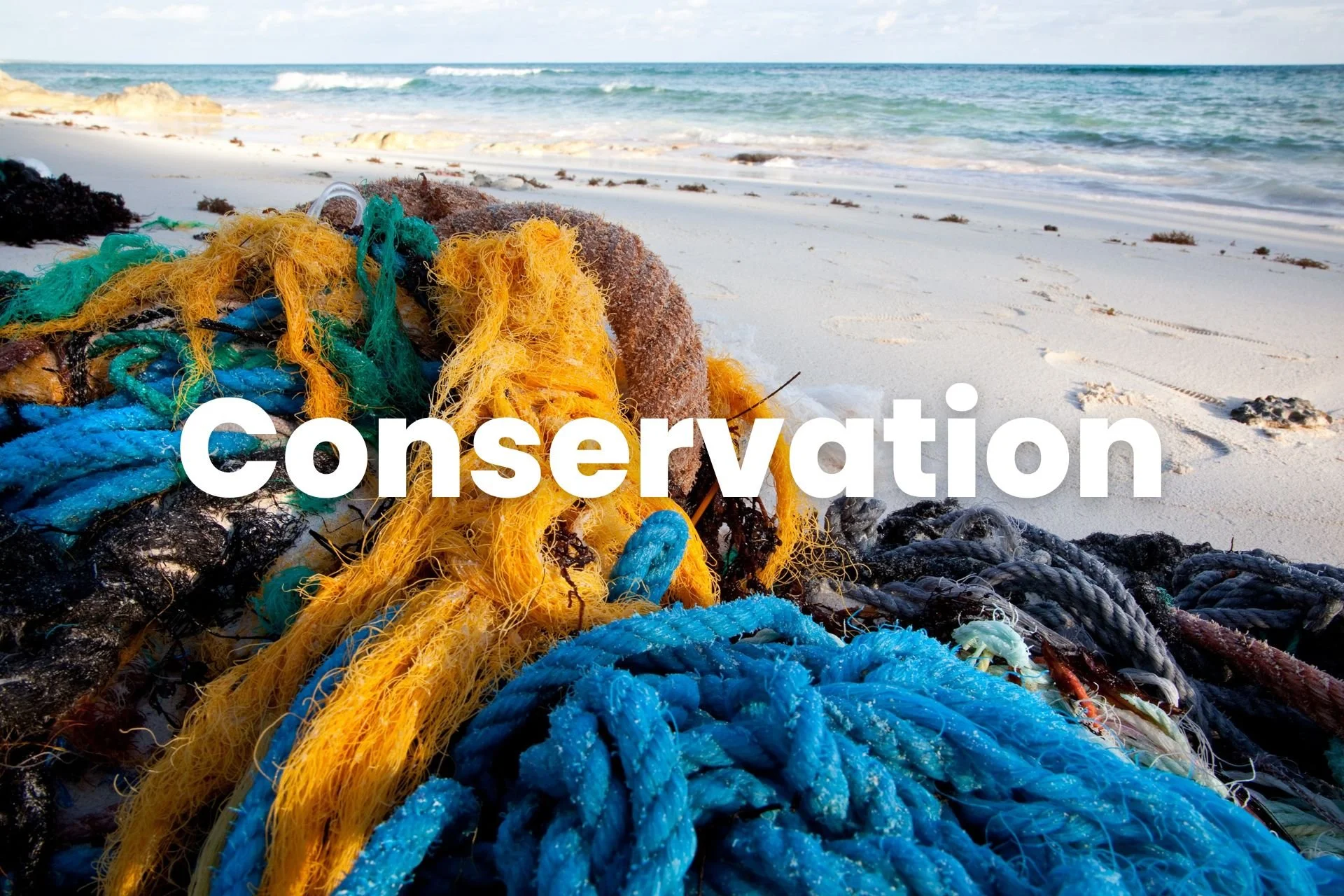 Conservation.jpg