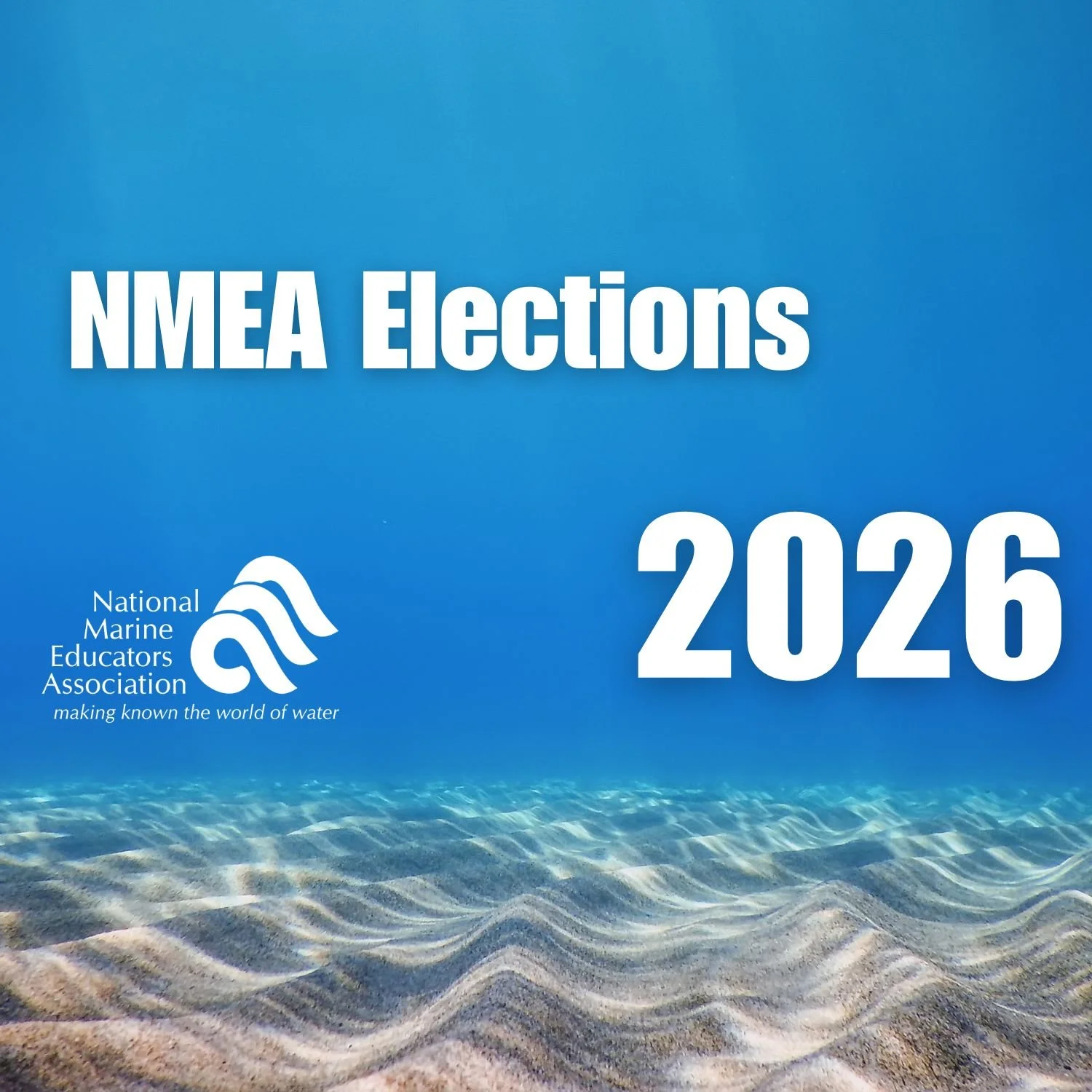 2026 NMEA Elections—Candidates