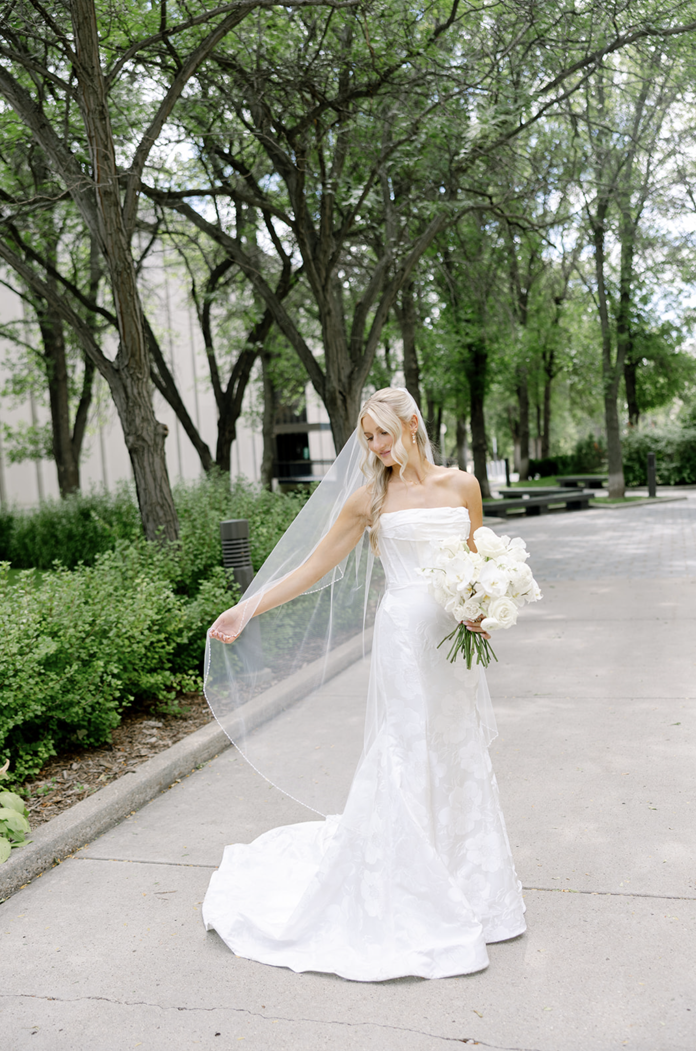 Screenshot 2025-12-04 at 3.37.17 PM.png