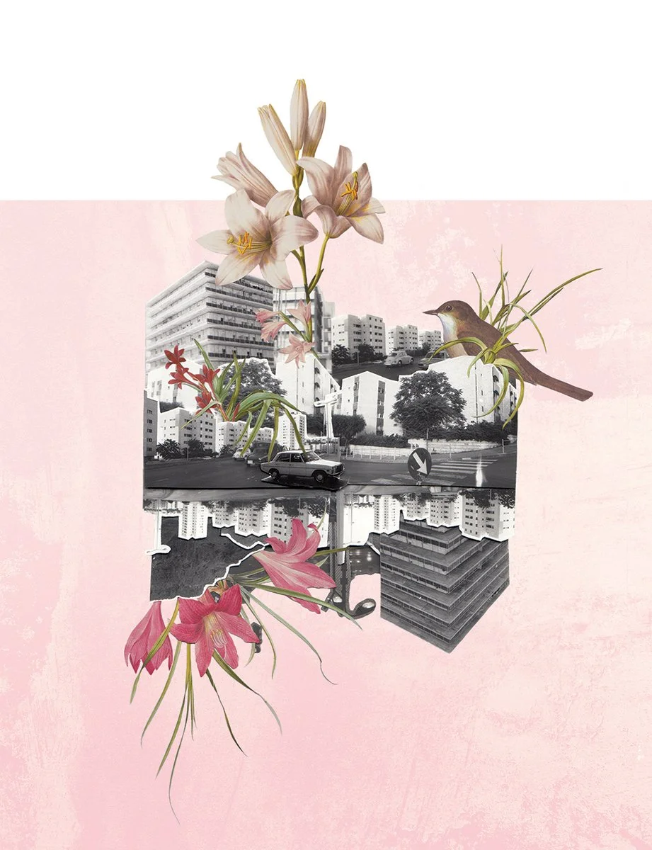 book cover illus_print_07_02 web.jpg