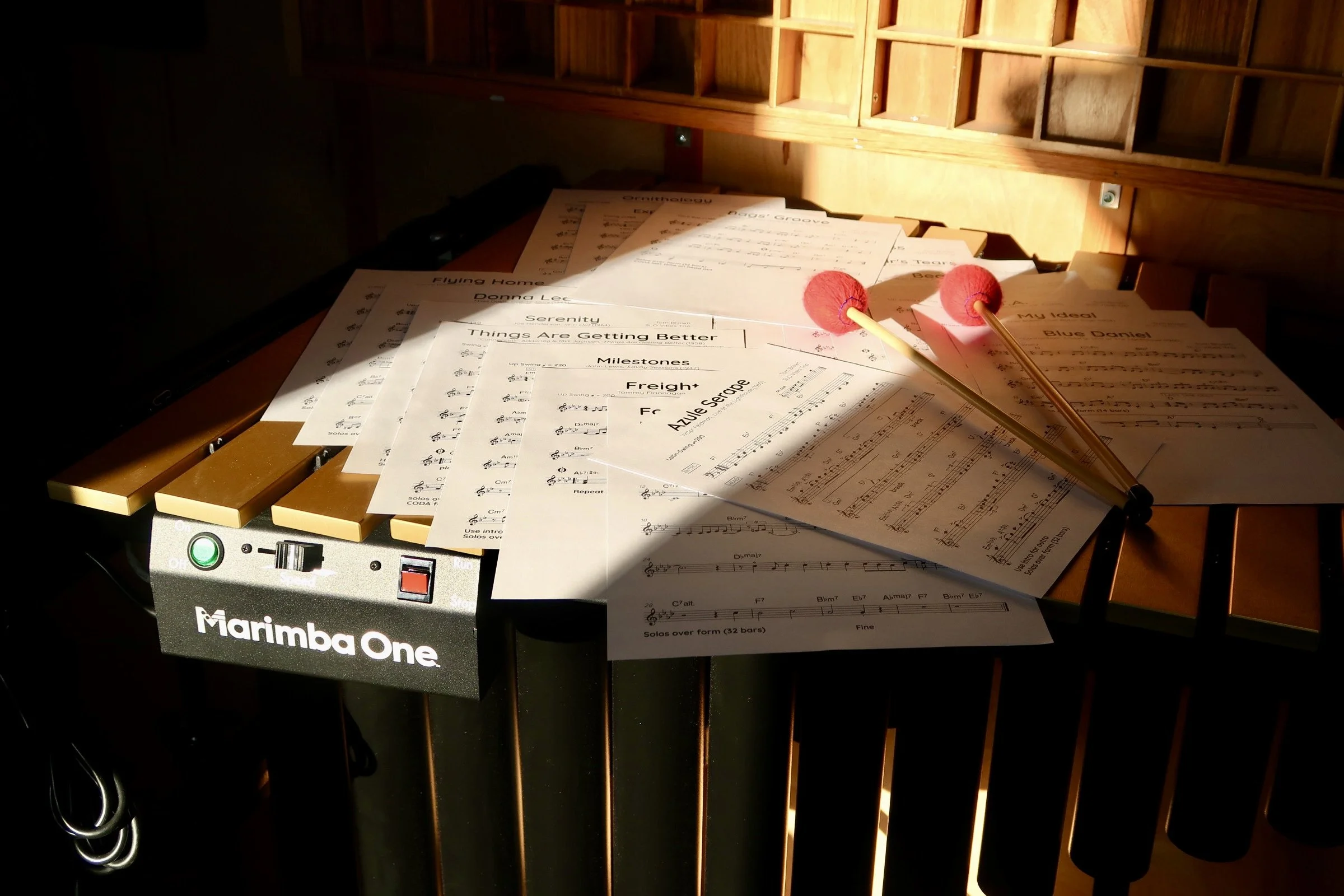 Golden Hour Vibes.JPG