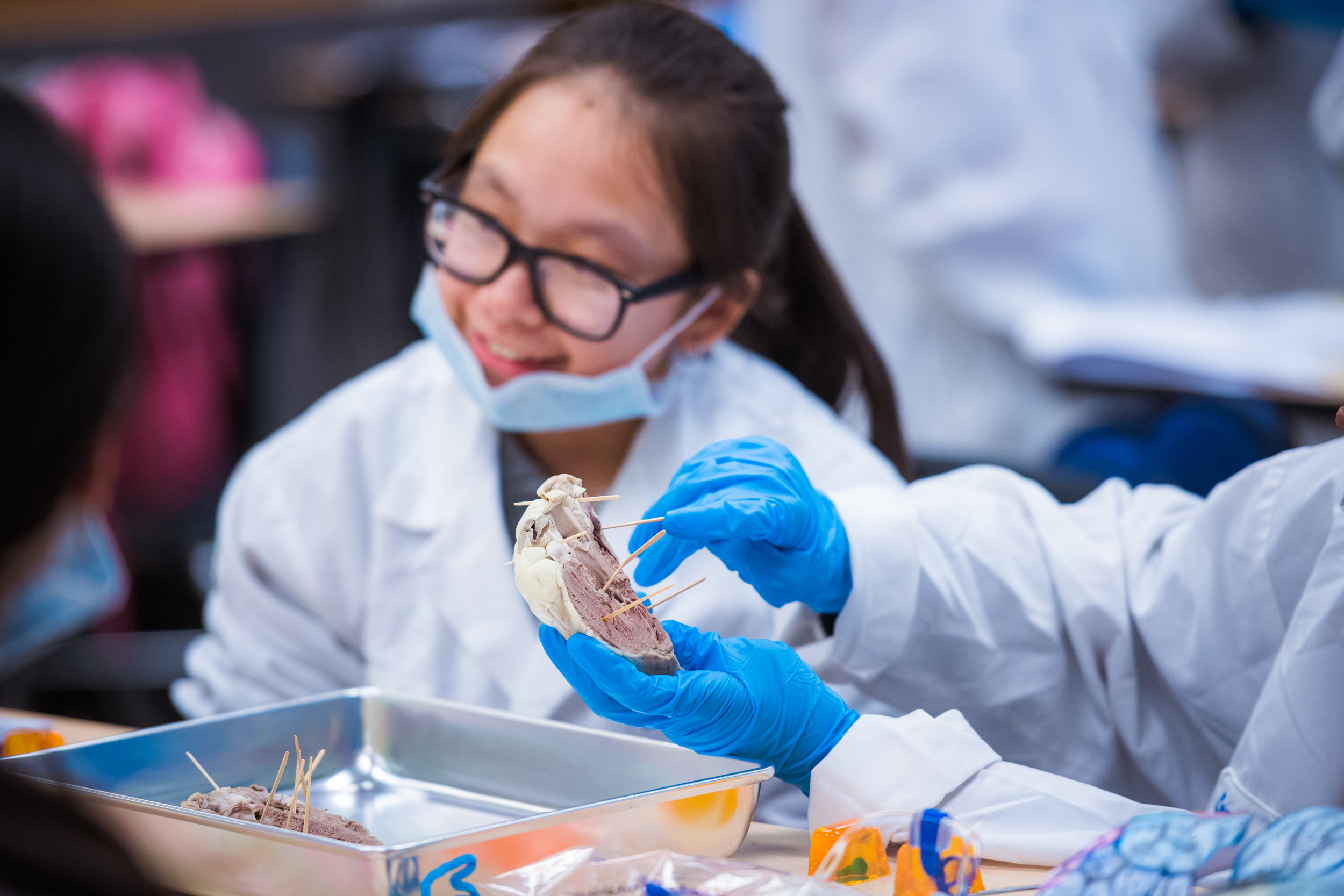 Massachusetts STEM Week